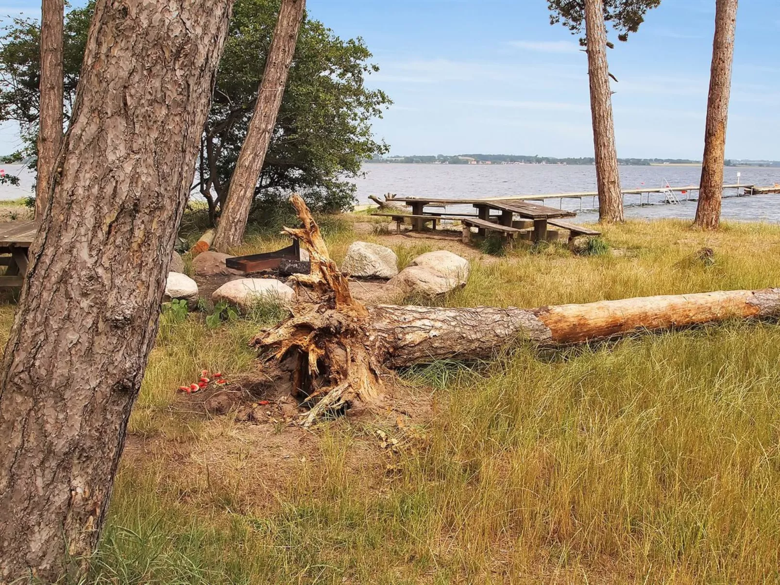 "Jeip" - 400m to the fjord-Buiten