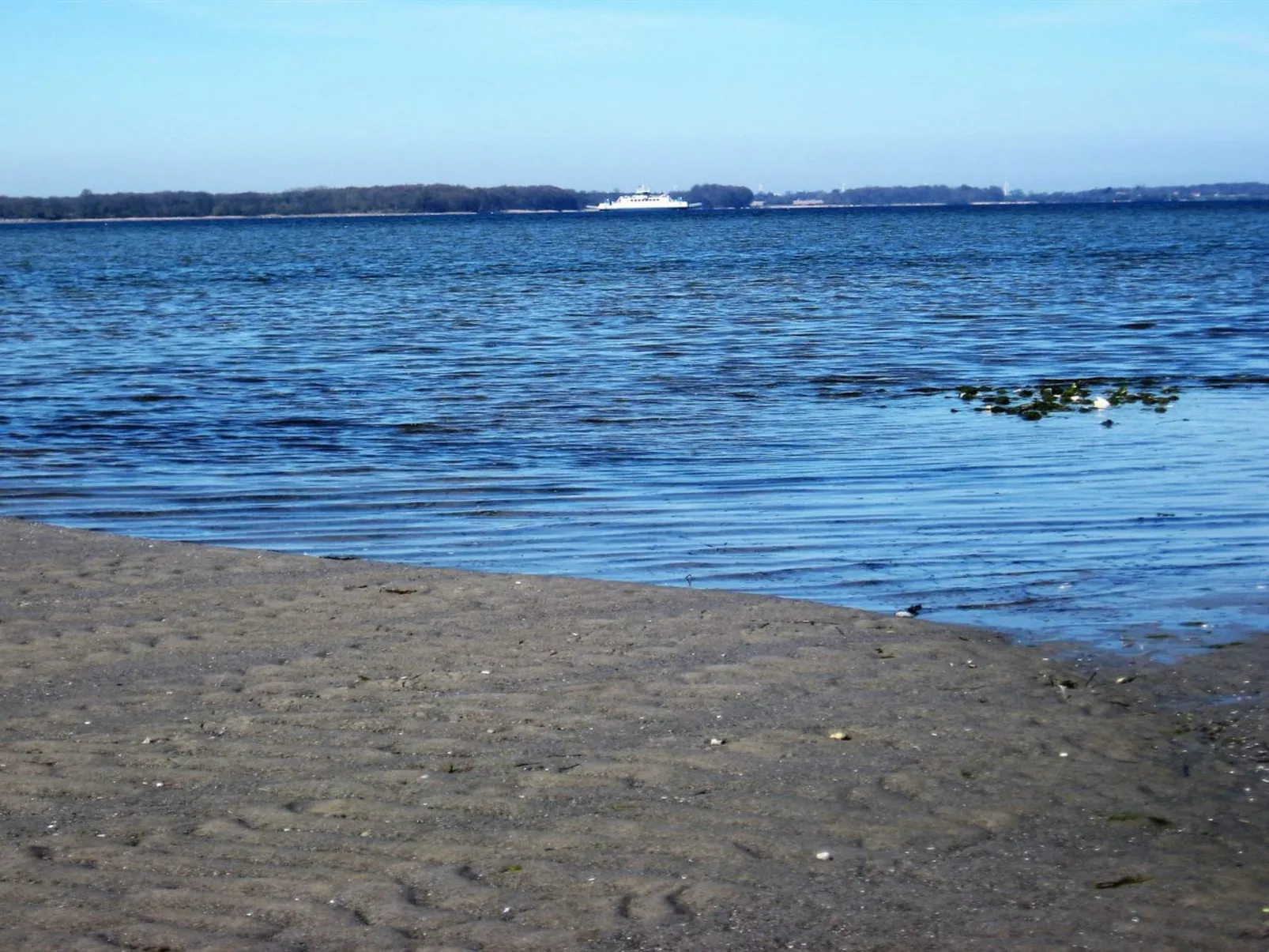 "Eddy" - 50m from the sea-Buiten