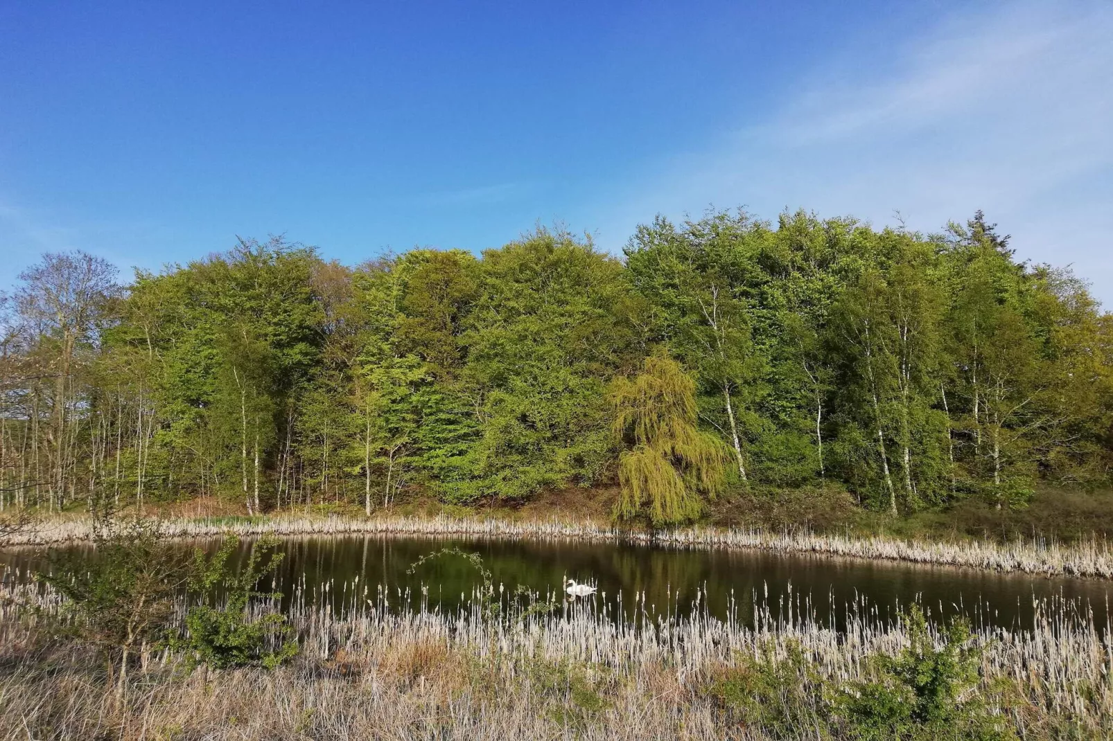 6 persoons vakantie huis in Knebel-By Traum-Niet-getagd