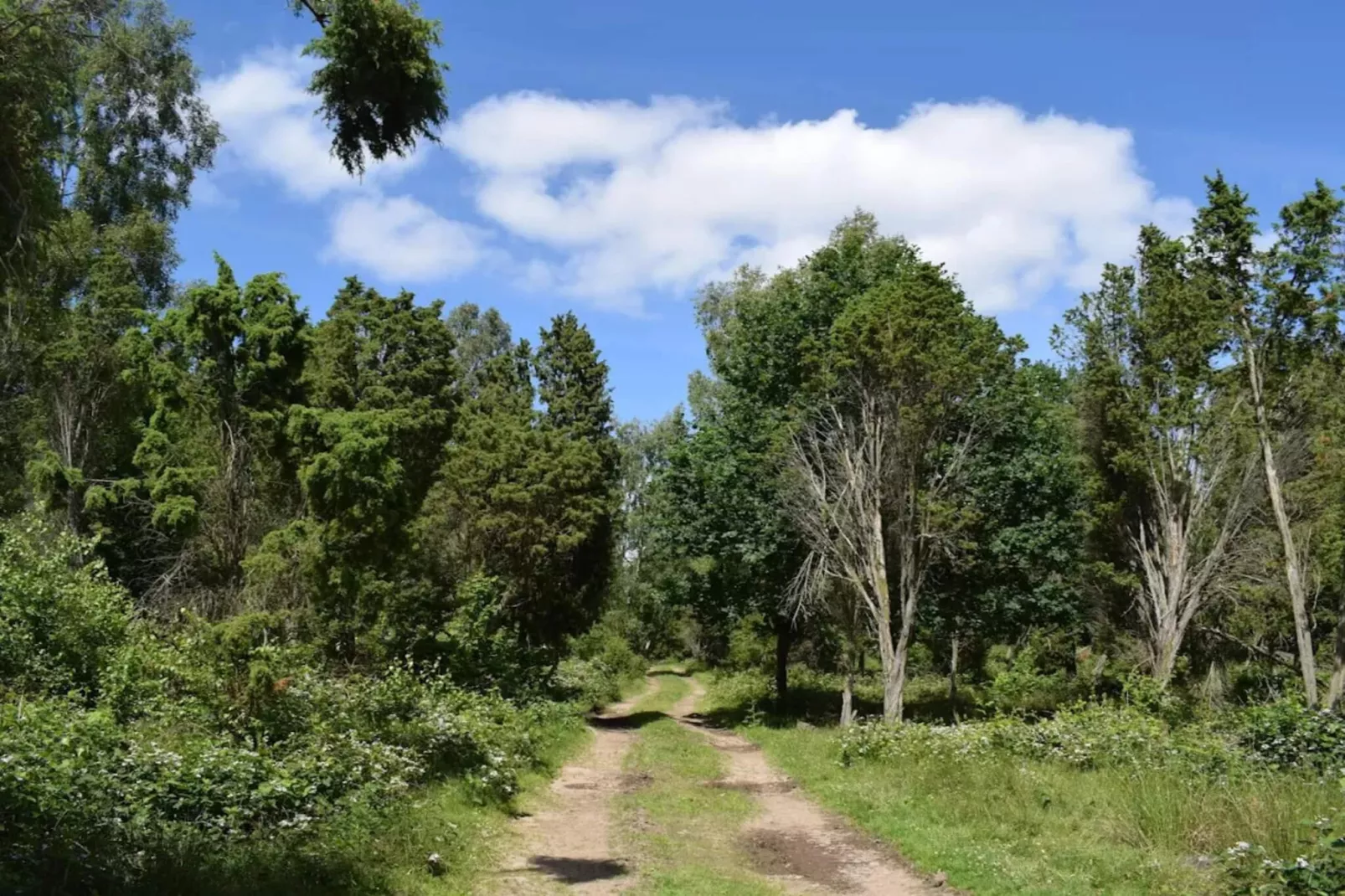 9 persoons vakantie huis in Ljungbyhed-By Traum-Niet-getagd