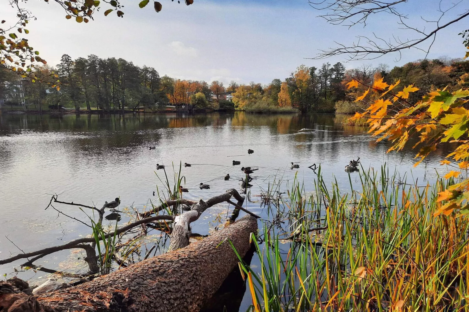 Huisje met hottub in Rejmyre-Waterzicht
