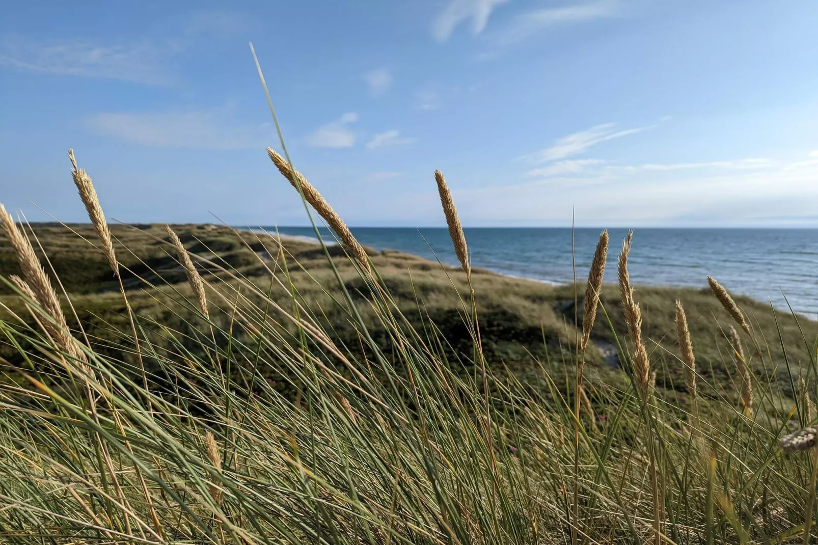 5 persoons vakantie huis in Ulfborg-By Traum-Waterzicht