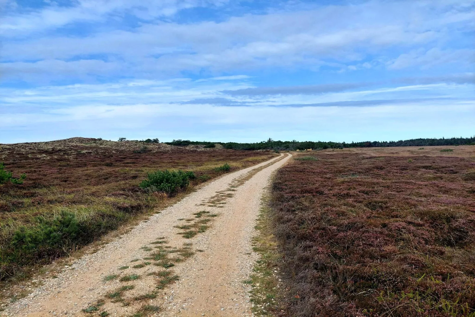 6 persoons vakantie huis in Henne-Niet-getagd