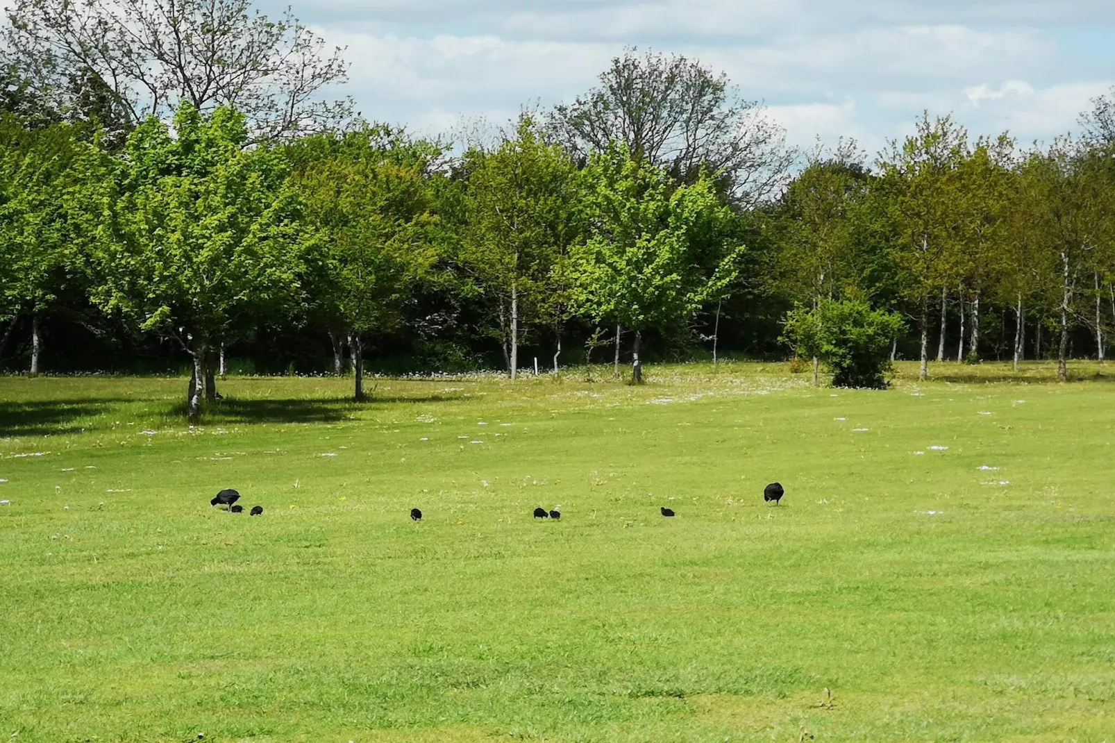 Gezellig toevluchtsoord aan zee in Eno-By Traum-Niet-getagd