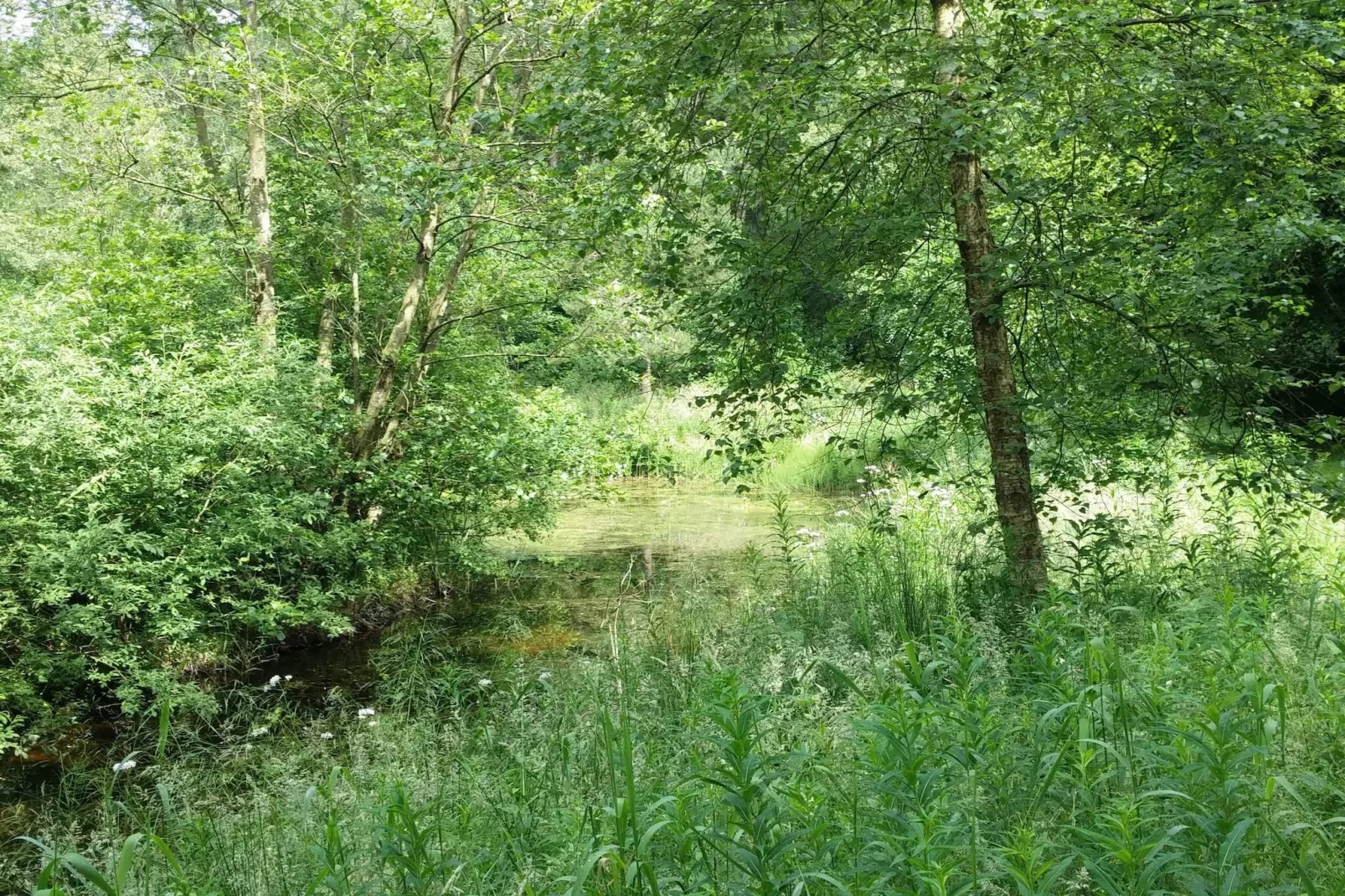 Meerzicht Juweel in Skarrild -- By Traum Ferienwohnungen-Niet-getagd