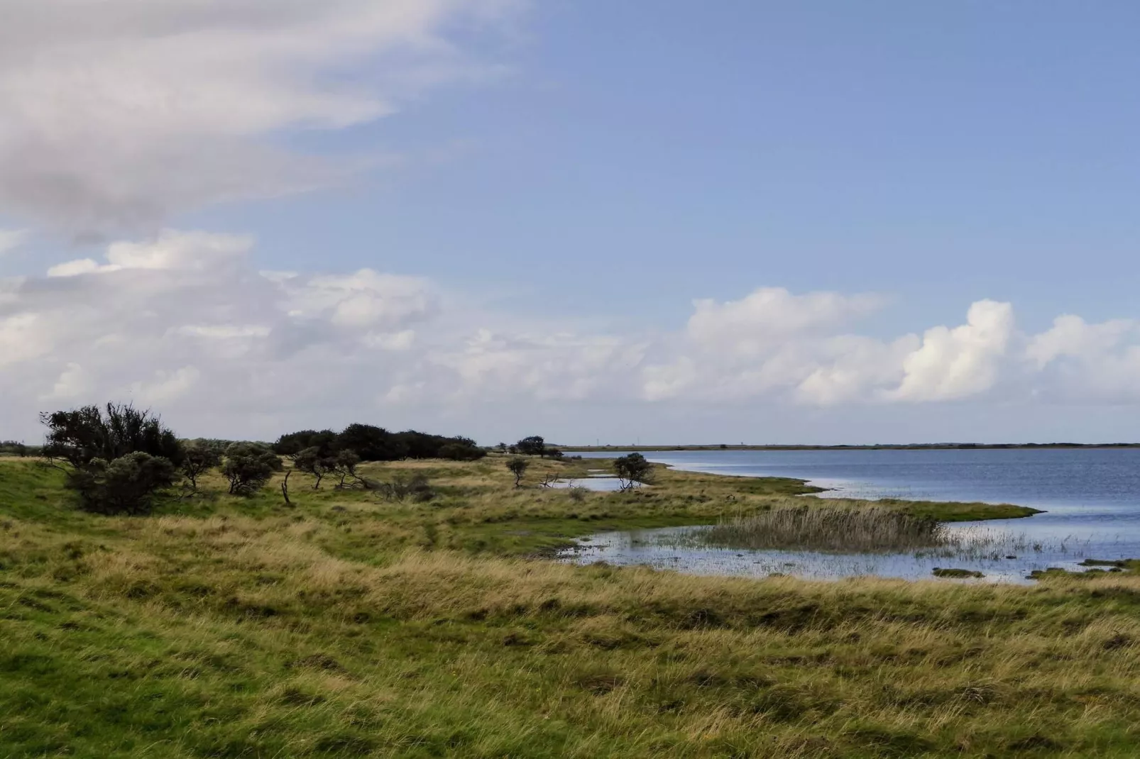 5 sterren vakantie huis in Lemvig-By Traum-Waterzicht