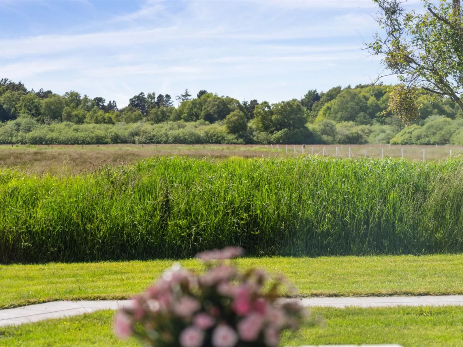 "Blondine" - 1.4km from the sea-Buiten