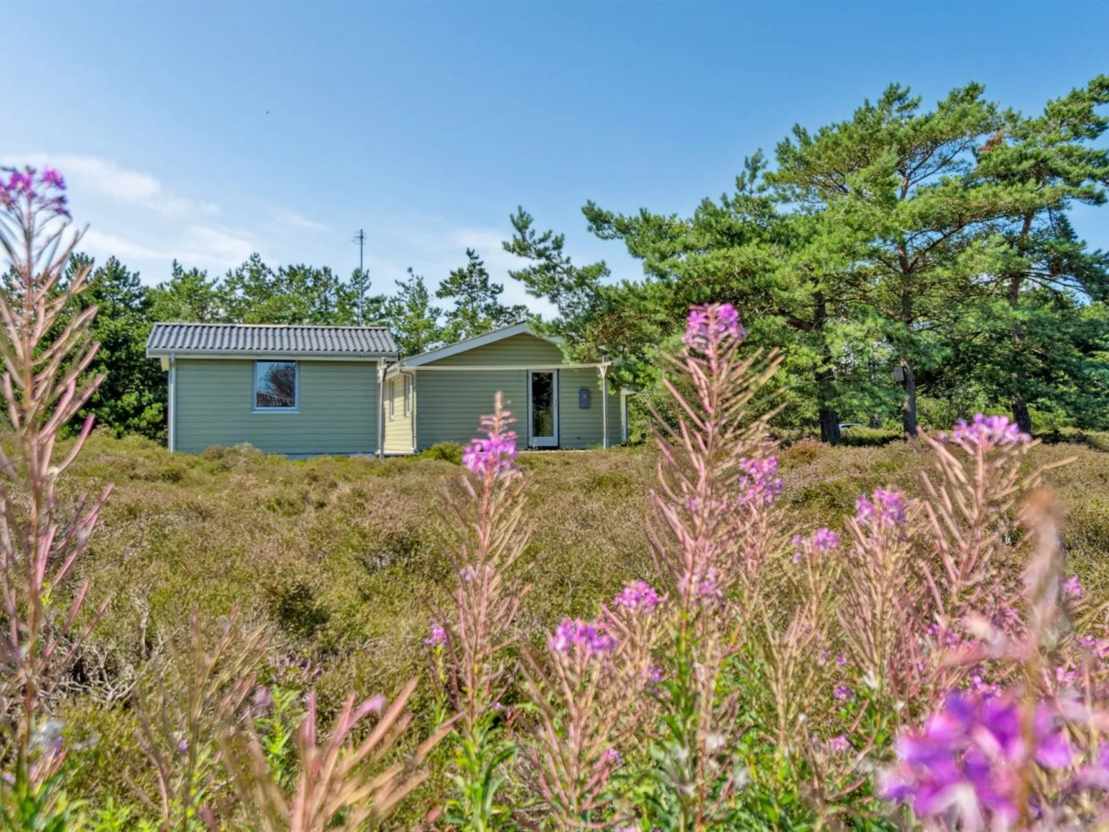 "Alwine" - 250m from the sea-Buiten