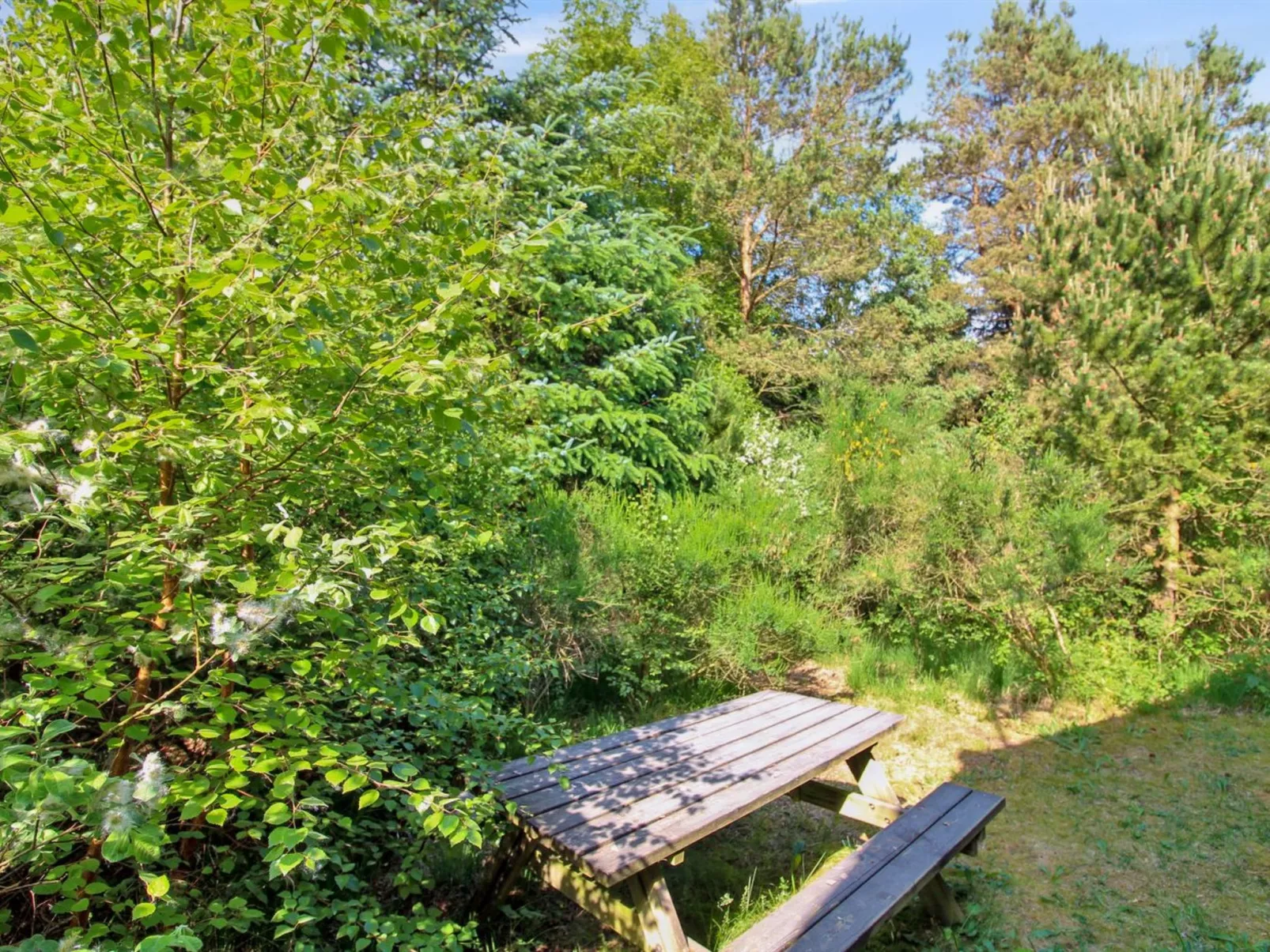 "Arlett" - 950m from the sea-Buiten