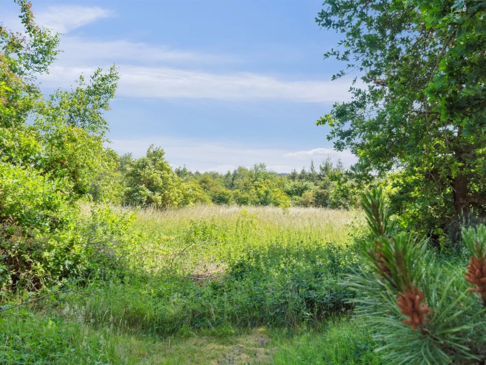 "Nadia" - 300m to the fjord-Buiten