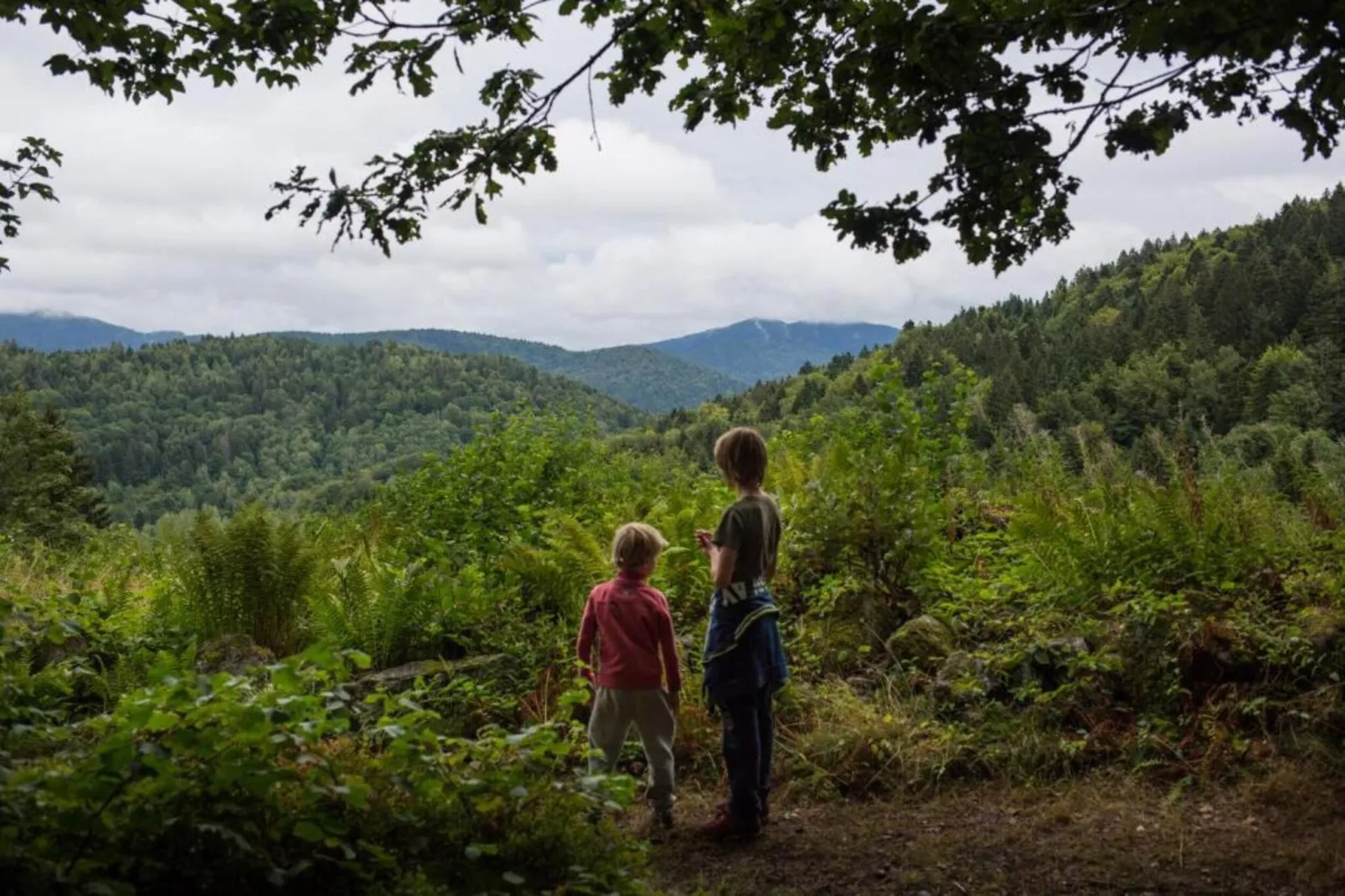 Domaine Des Messires 2-Gebieden zomer 5km