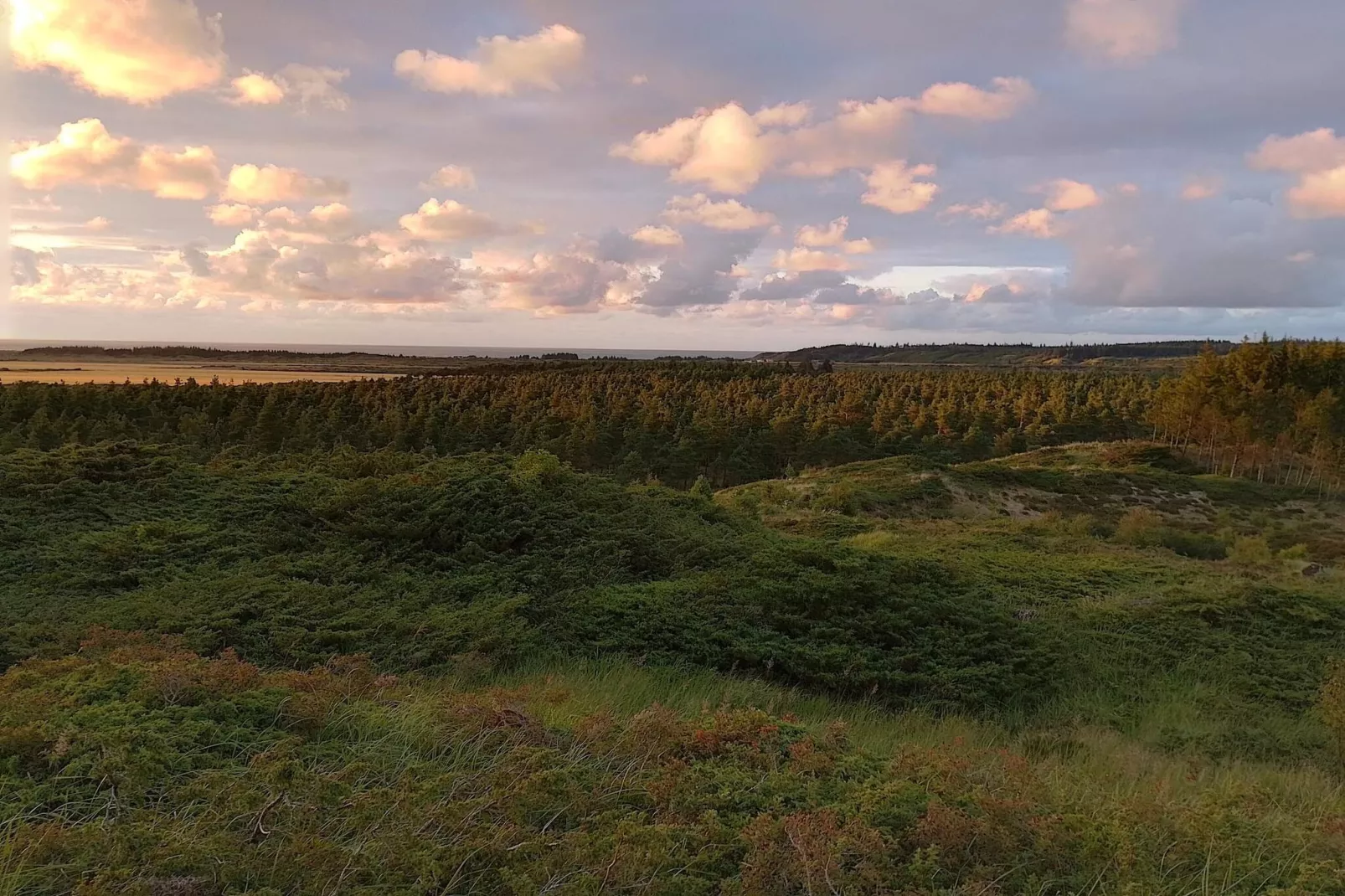 7 persoons vakantie huis in Fjerritslev-By Traum-Niet-getagd