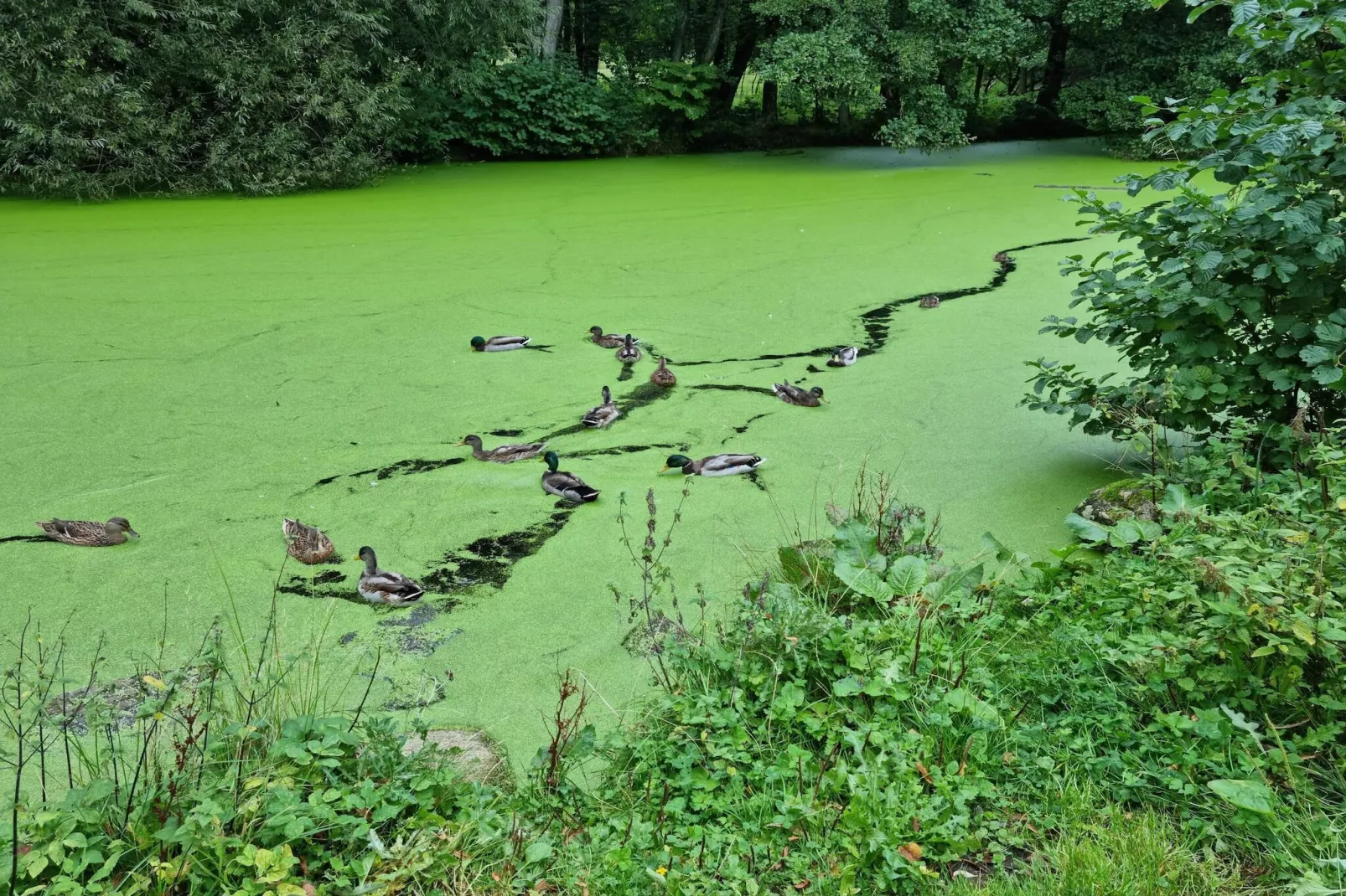 4 persoons vakantie huis in Hadsund-By Traum-Niet-getagd