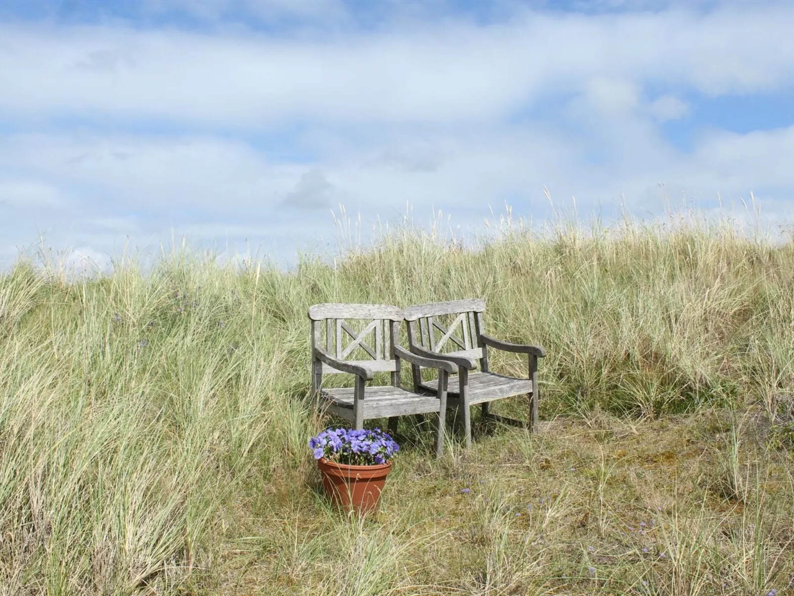 "Heilo" -  from the sea-Buiten