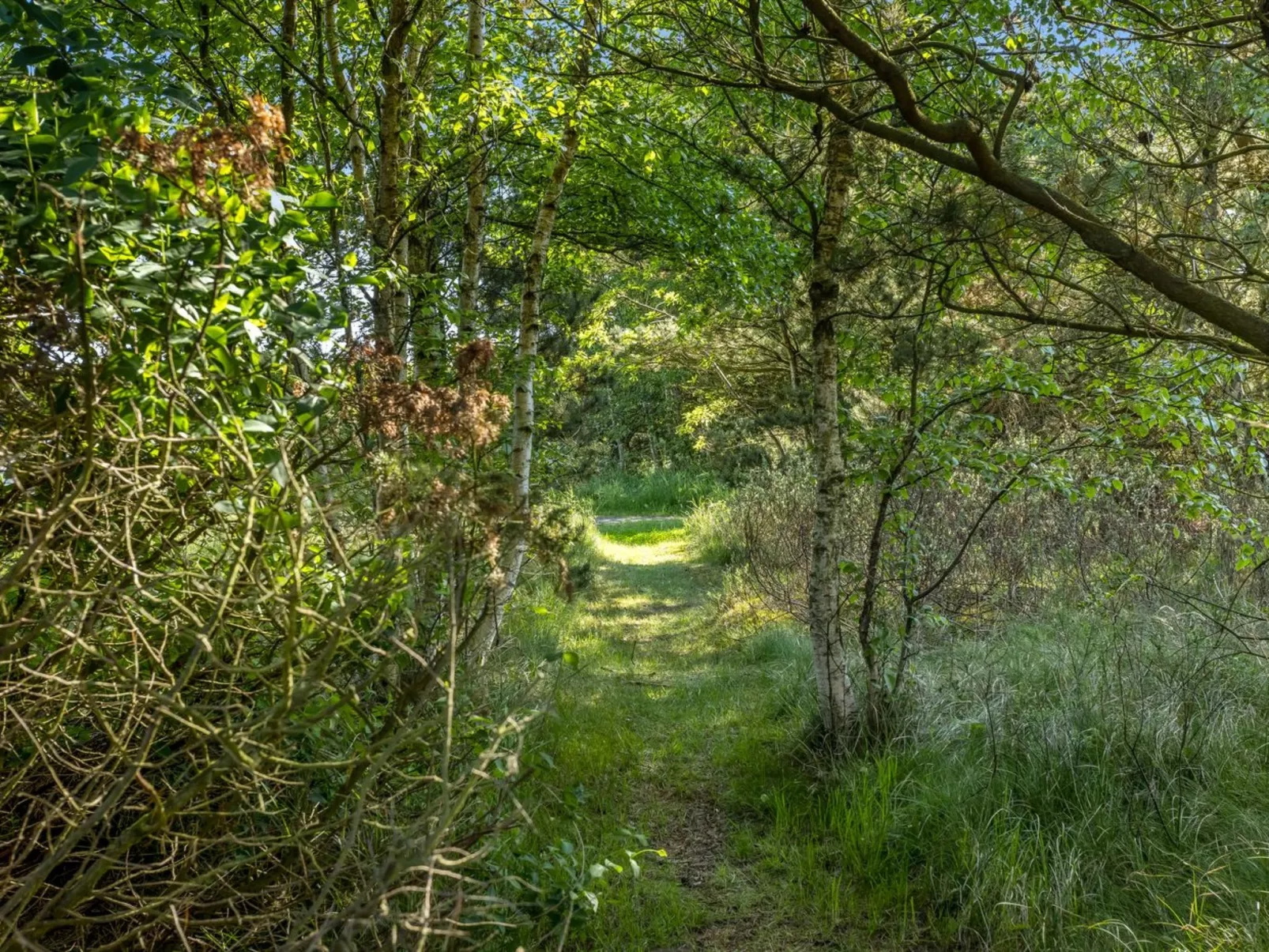 "Einette" - 100m from the sea-Buiten