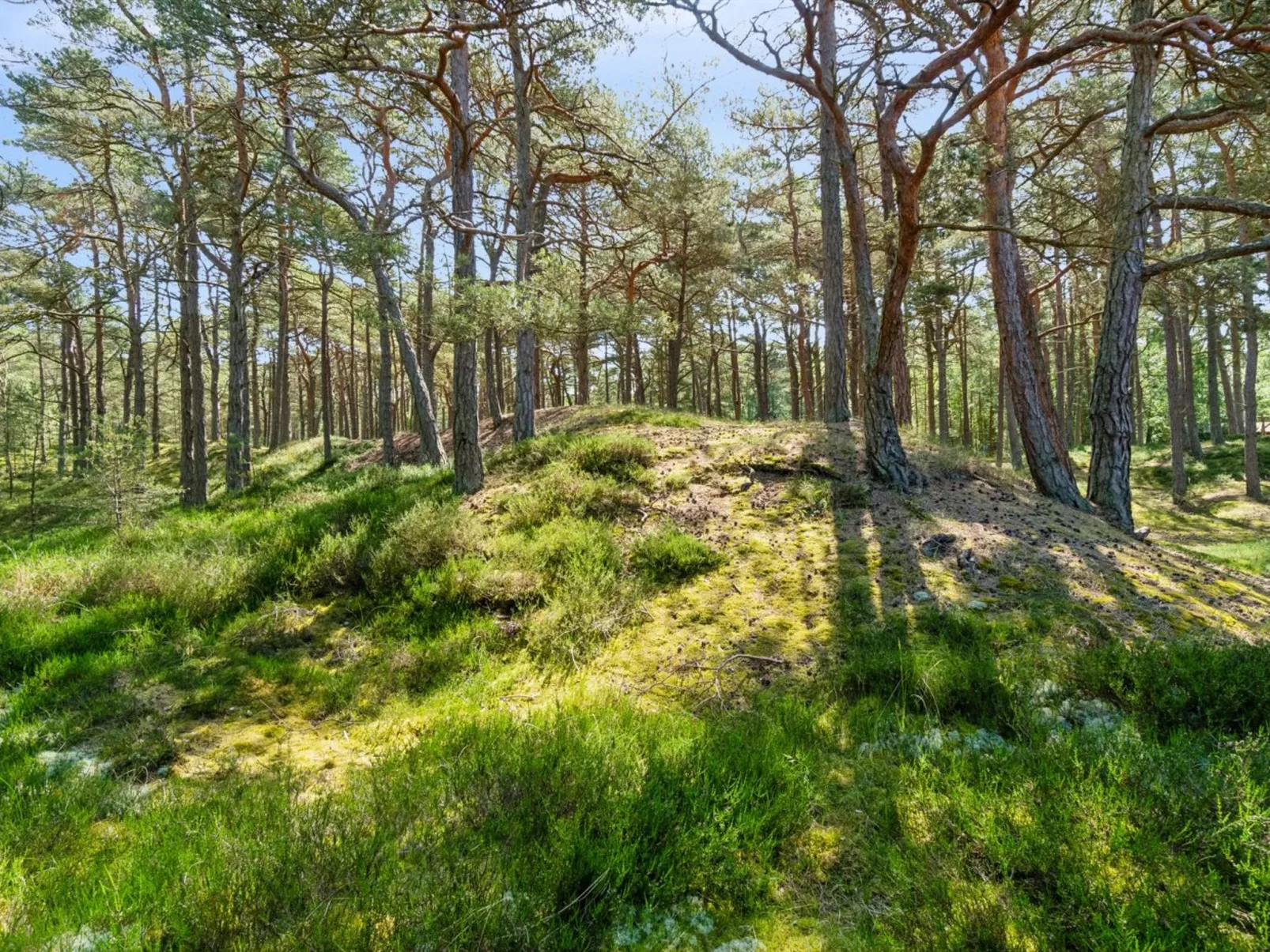 "Bothilda" - 950m from the sea-Buiten