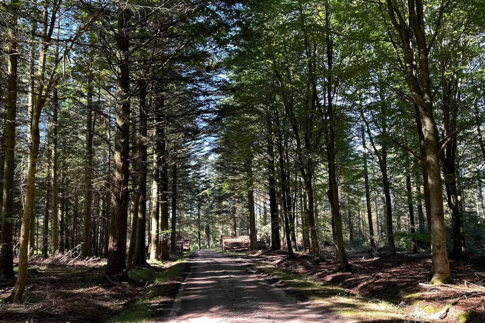 4 persoons vakantie huis in Thisted-By Traum-Niet-getagd