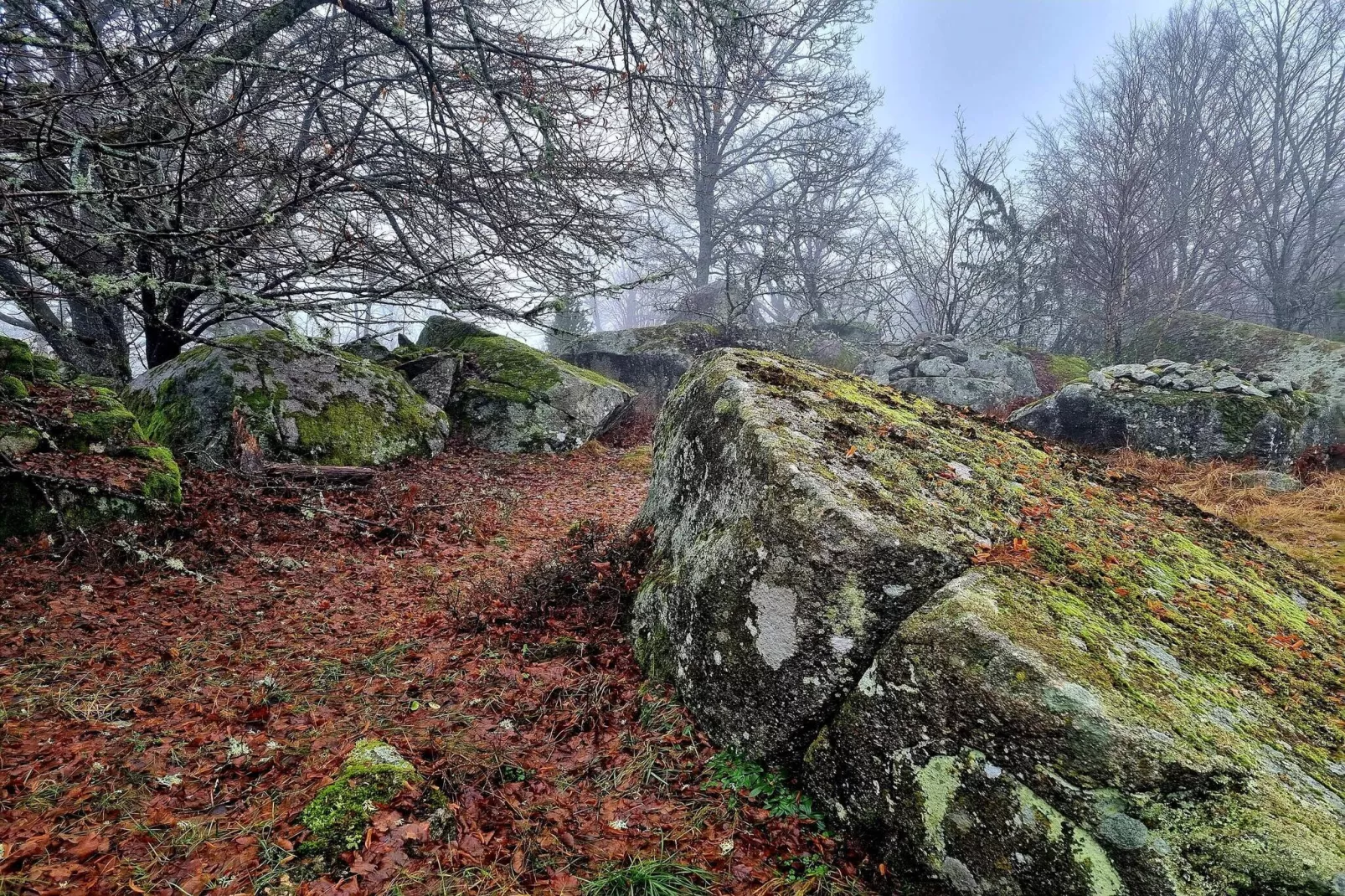 4 sterren vakantie huis in KARLSKRONA-Waterzicht
