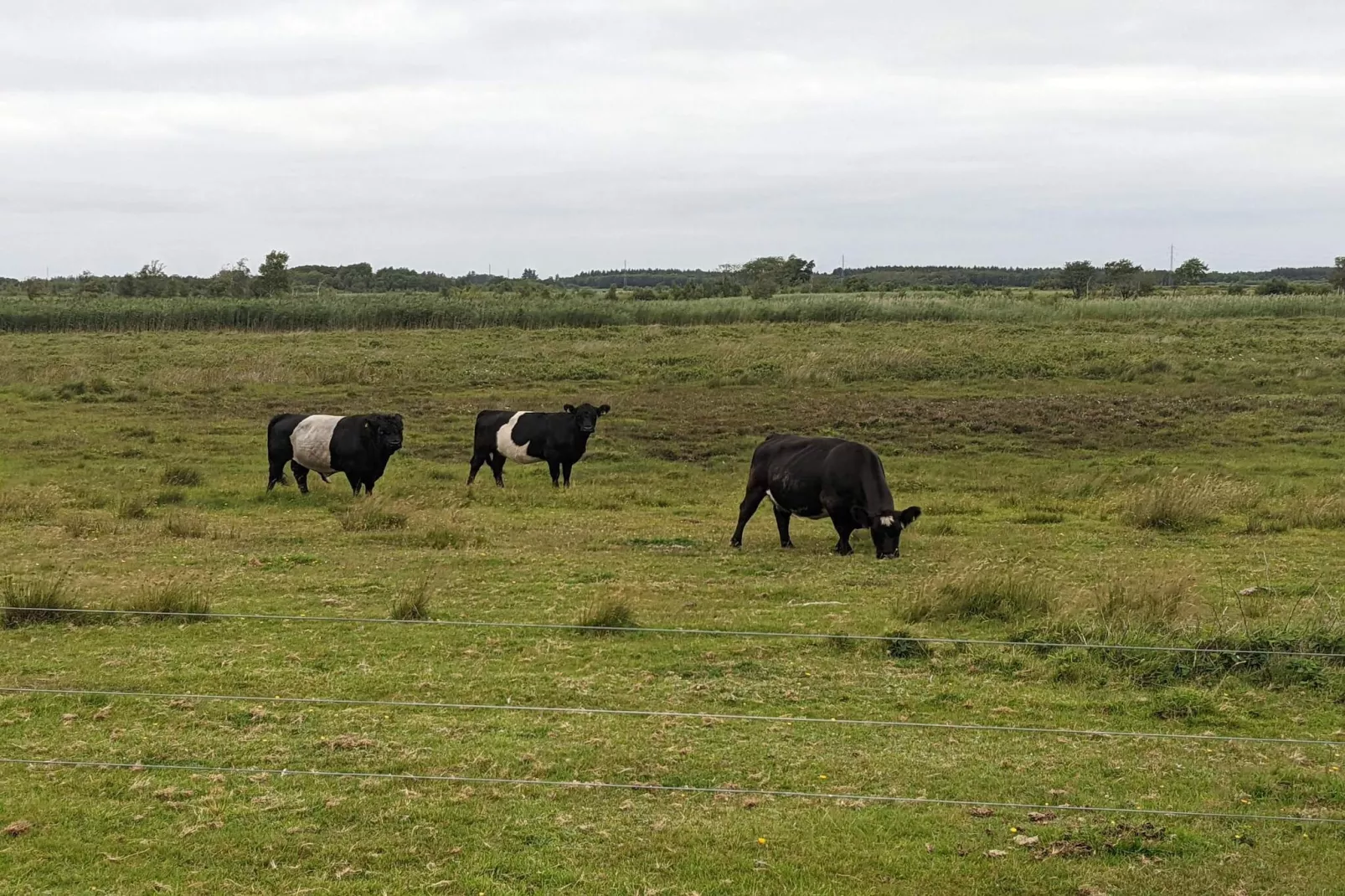 4 persoons vakantie huis in Bredebro-By Traum-Niet-getagd