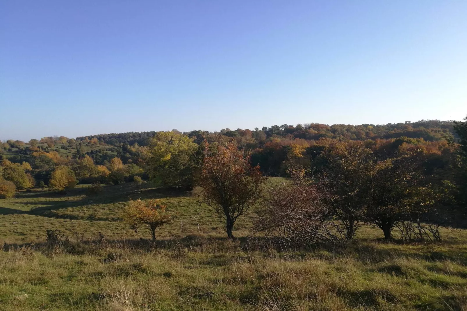 4 sterren vakantie huis in Gärsnäs-Niet-getagd