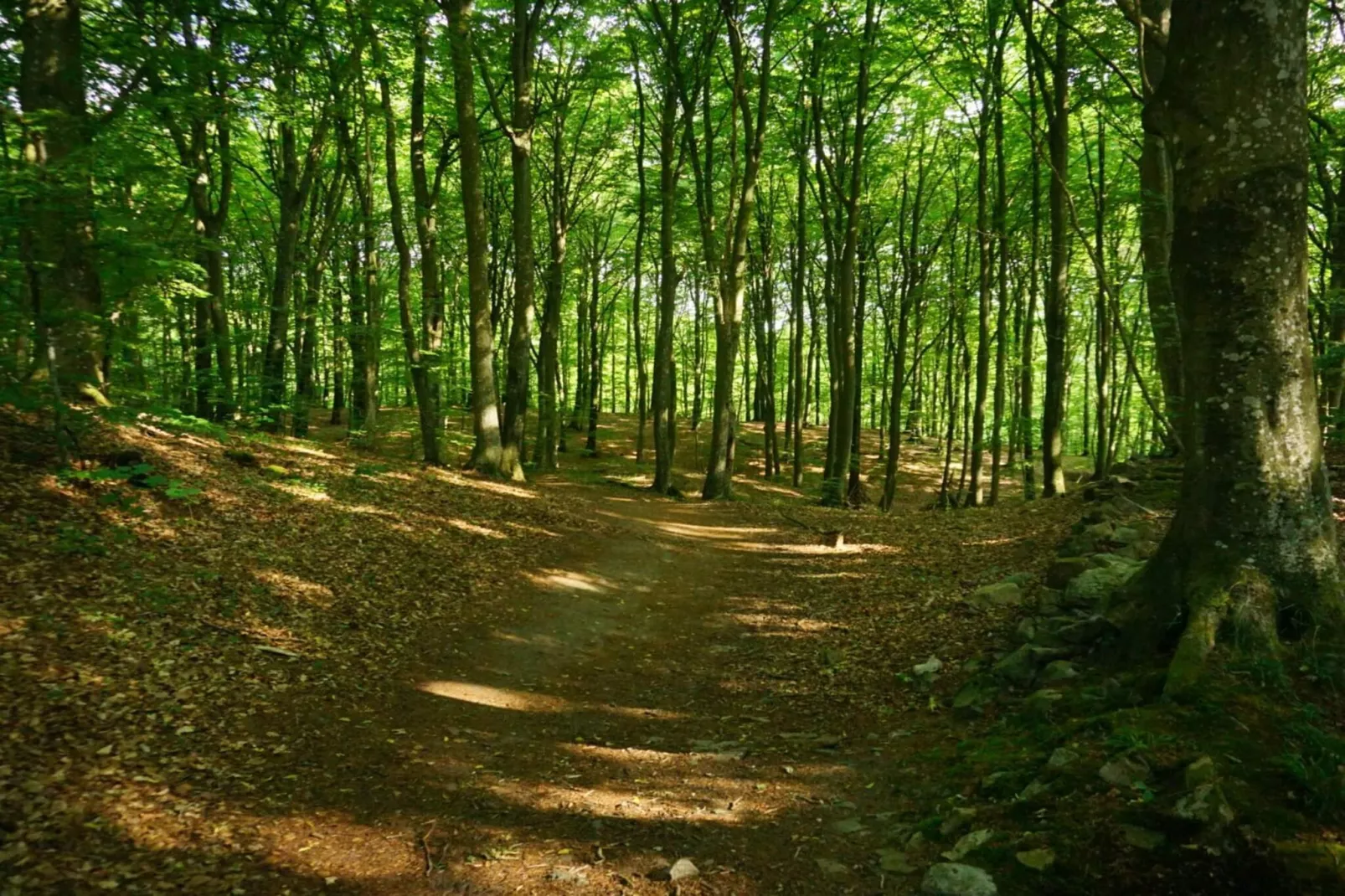 4 sterren vakantie huis in Gärsnäs-Niet-getagd