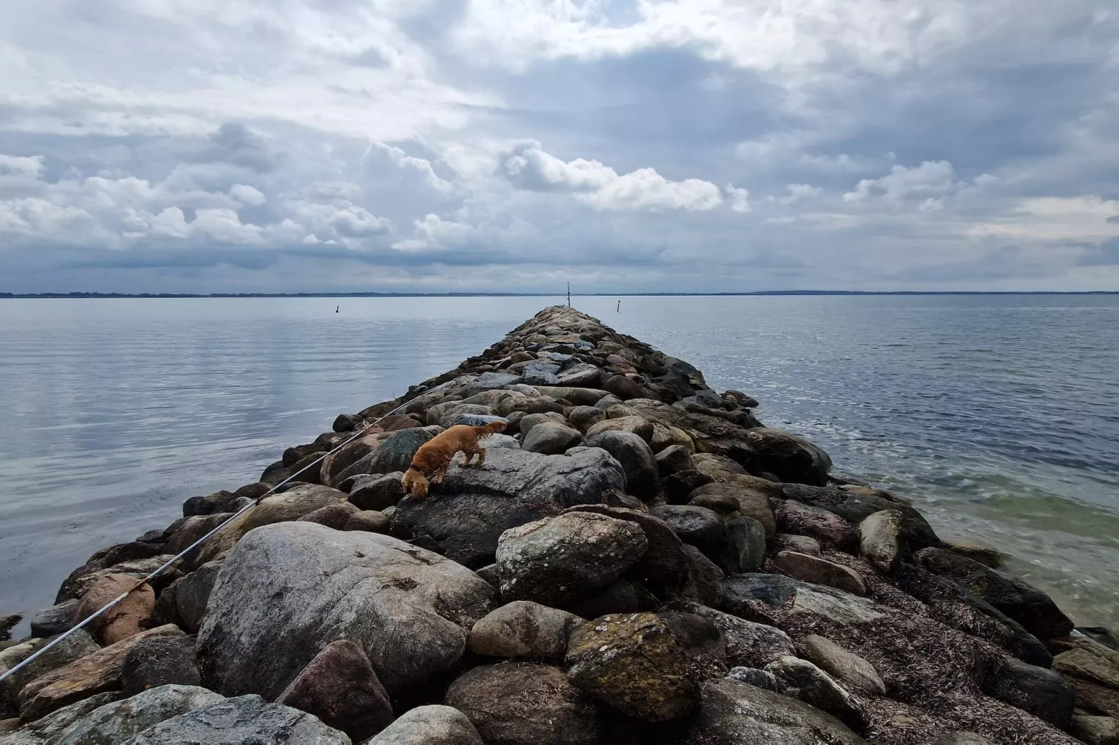 4 sterren vakantie huis in Øster Assels-By Traum-Waterzicht