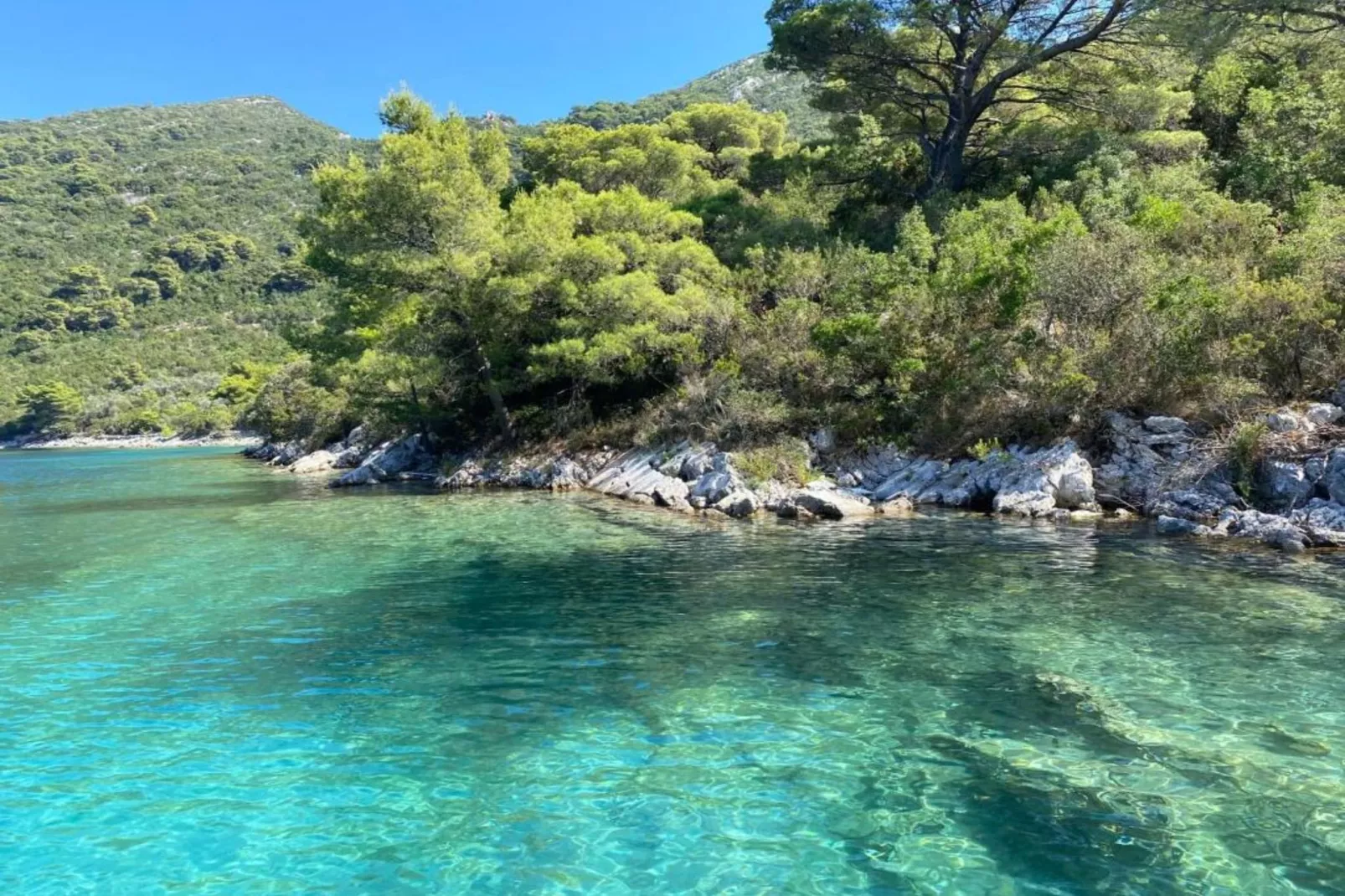 Apartments Franka Saplunara-Twin Room with Terrace and Sea view  No1-Sfeer