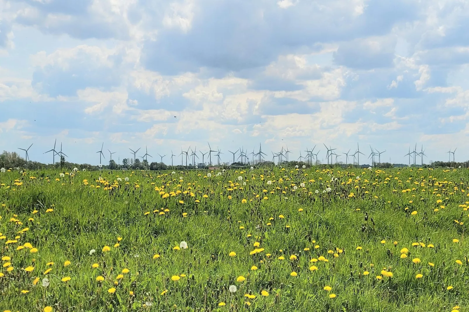 Doppelhaushälfte Wattwurm 34-Gebieden zomer 5km