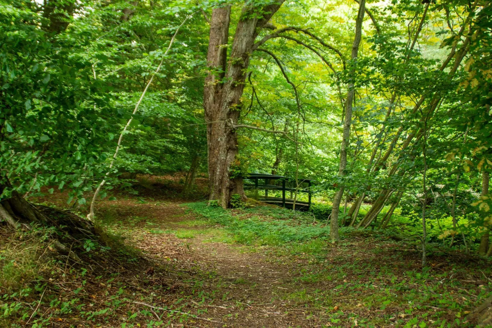 Panoramisch fjordverblijf met spabad-Niet-getagd