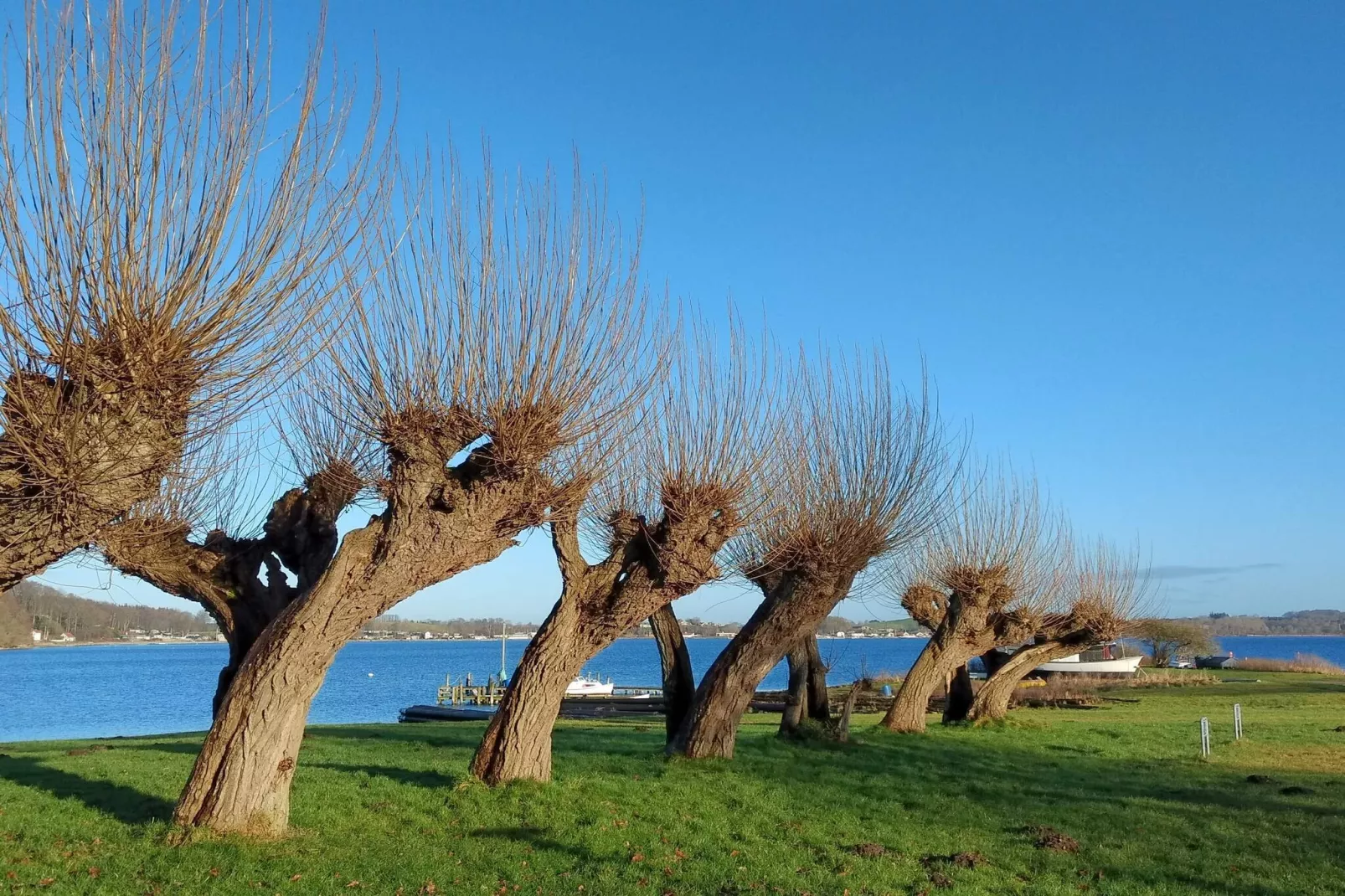 4 Personen vakantie huis in Haderslev-Waterzicht