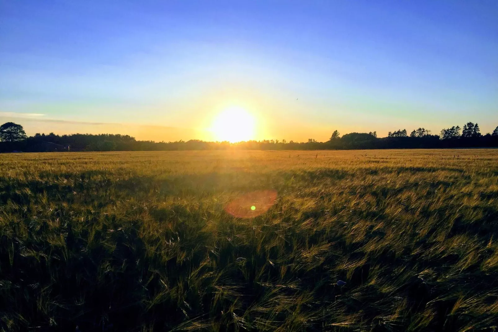 6 Personen vakantie huis in Give-By Traum-Niet-getagd