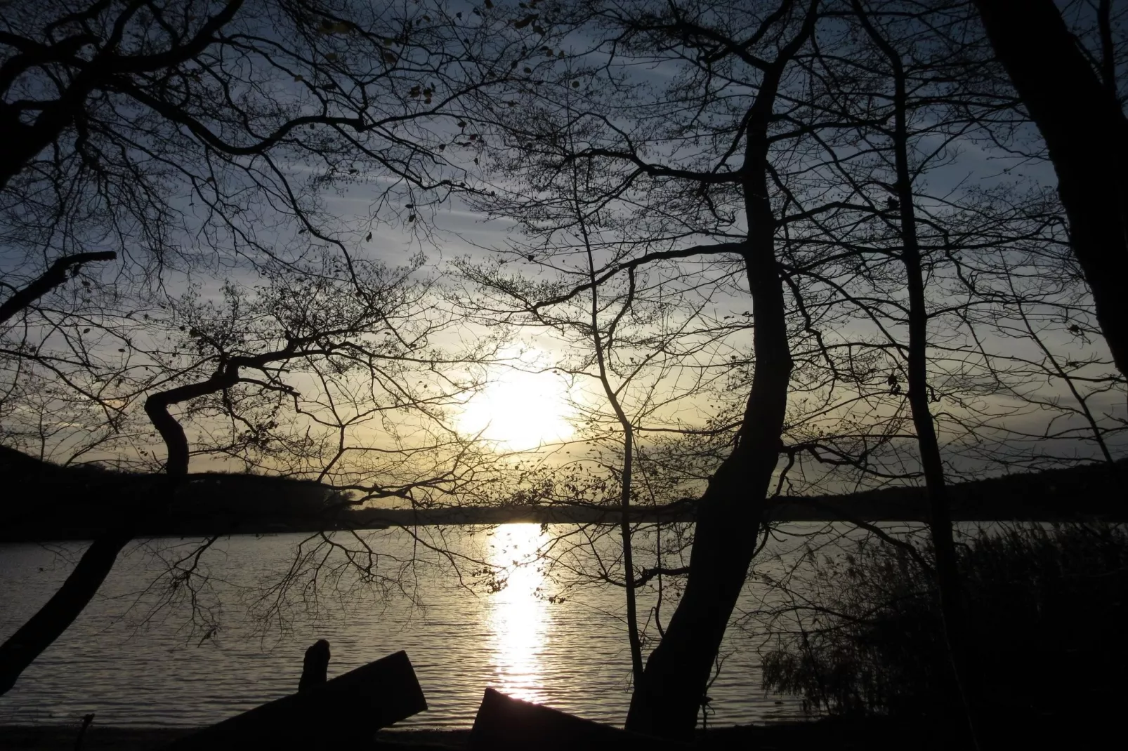 Luxus Appartement / 3 Personen-Gebieden zomer 1km