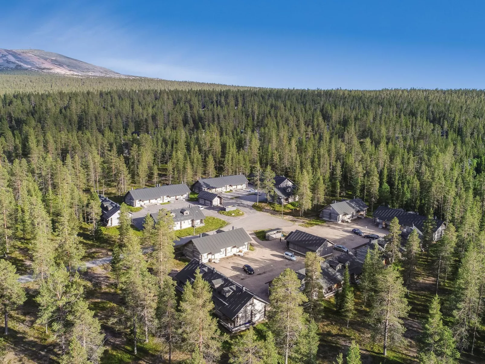 Teerentie / poronpesä (g20)-Binnen