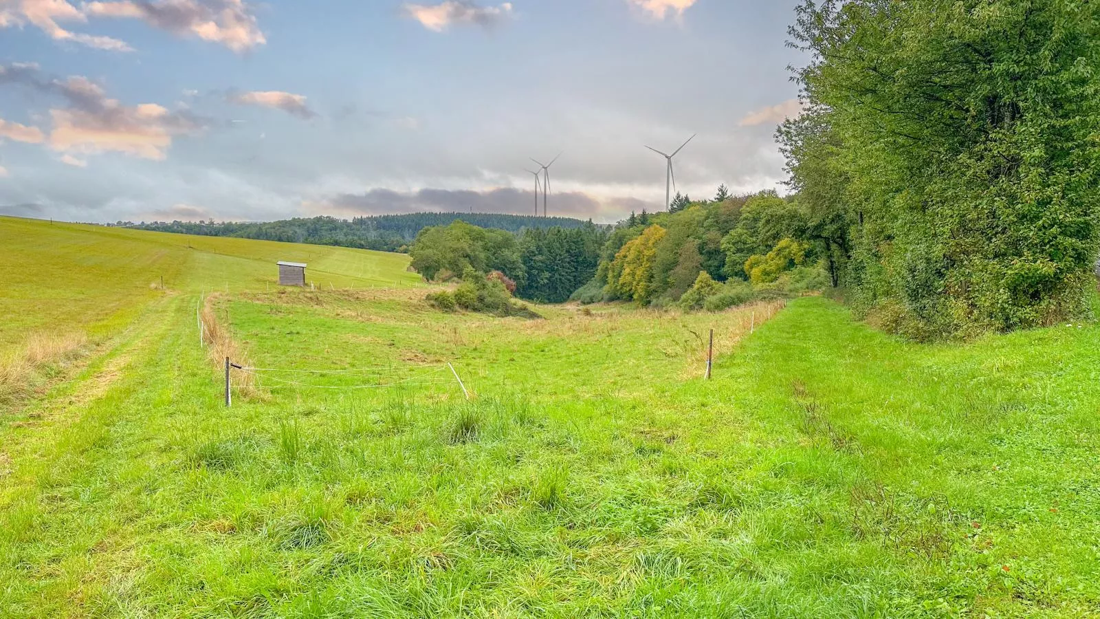 Panoramablick-Gebieden zomer 1km