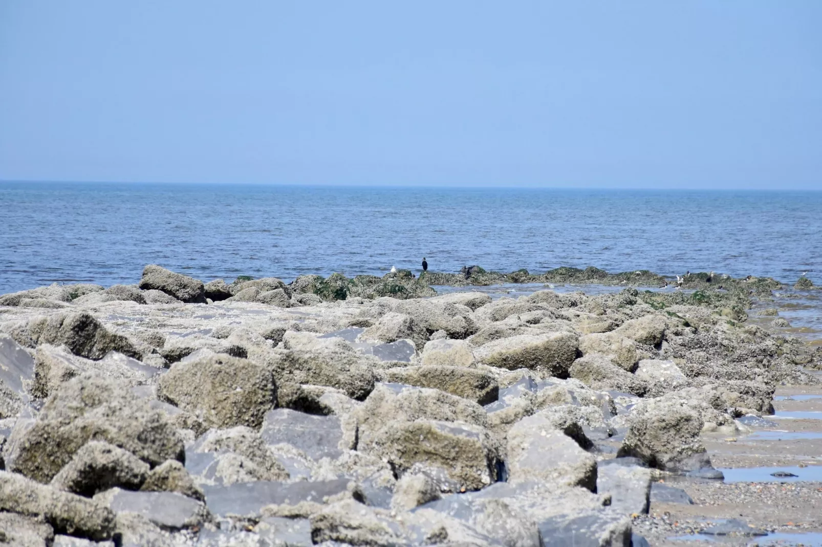 De Rede-Gebieden zomer 5km