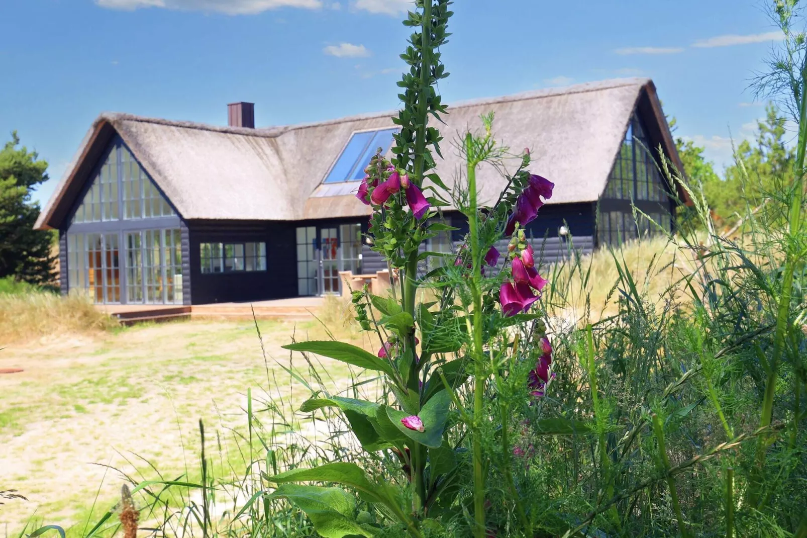 Blåvand Garden Retreat: rustige ontsnapping-Uitzicht