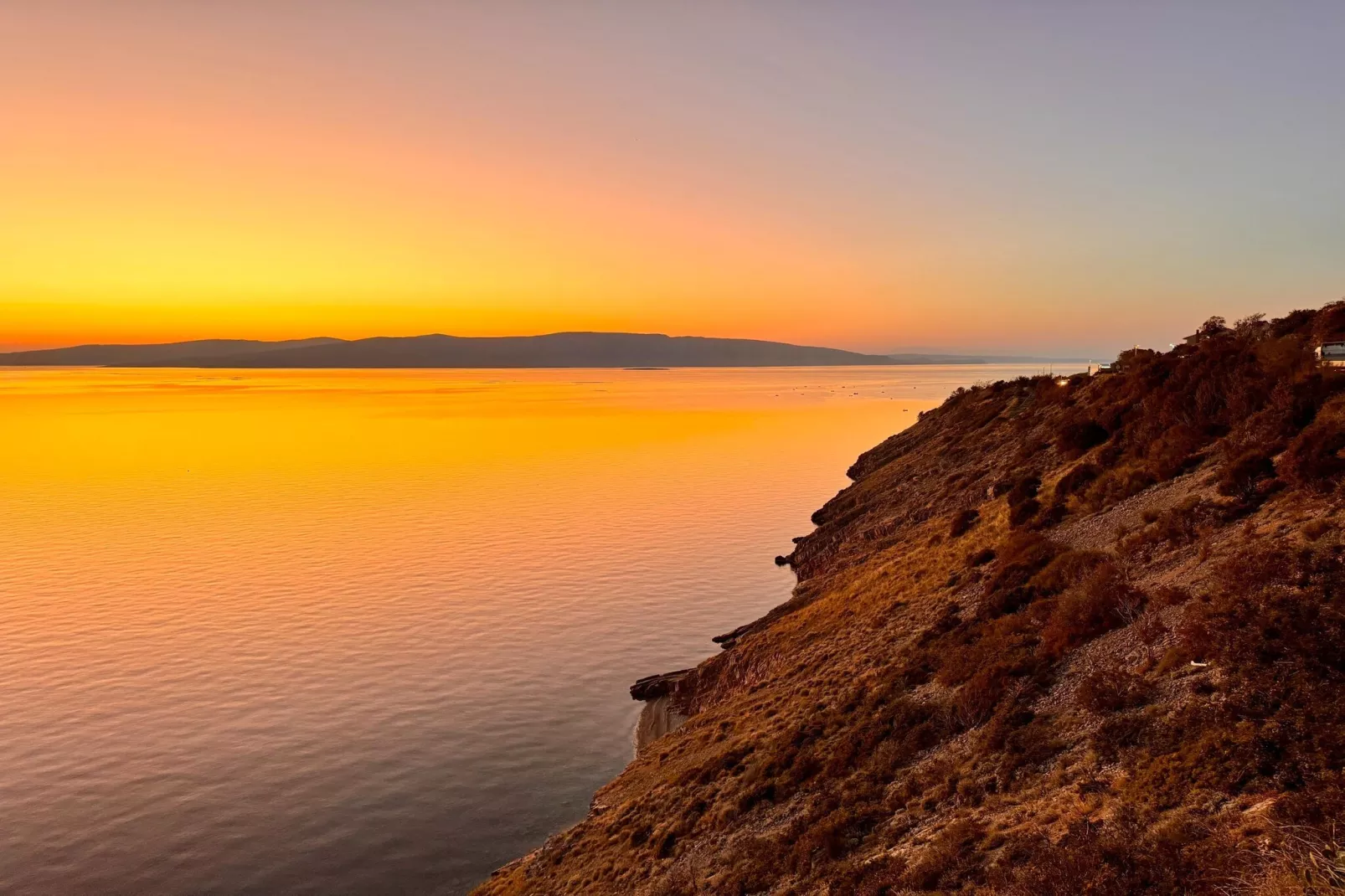 Niko 1-Gebieden zomer 1km