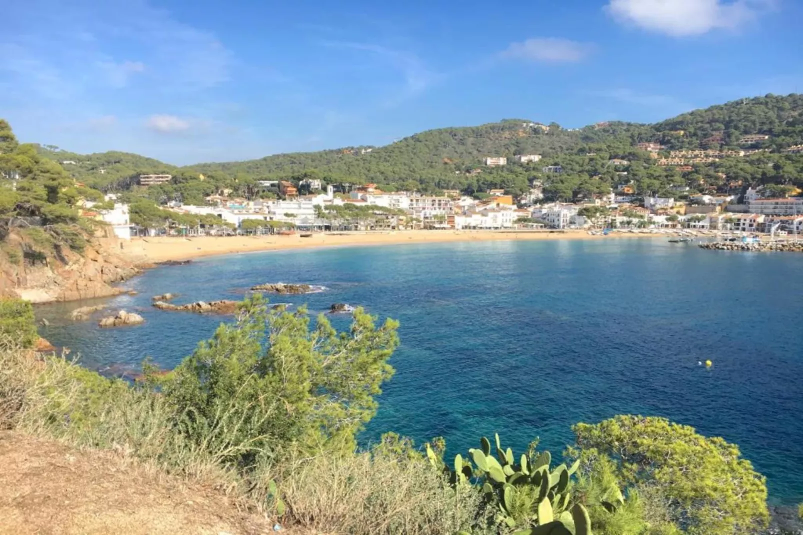 Ronda-Gebieden zomer 20km