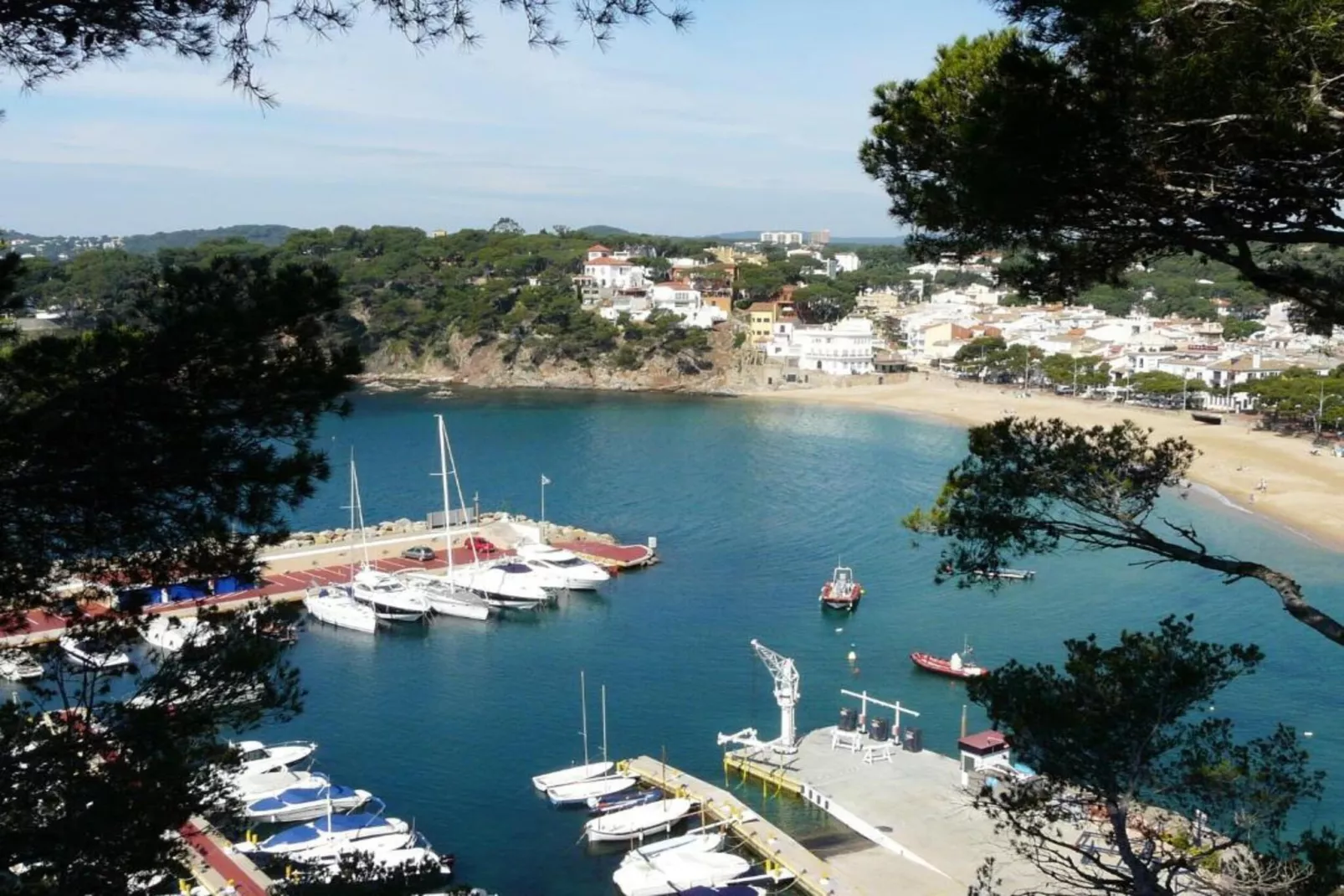 Pastora 2-Gebieden zomer 20km