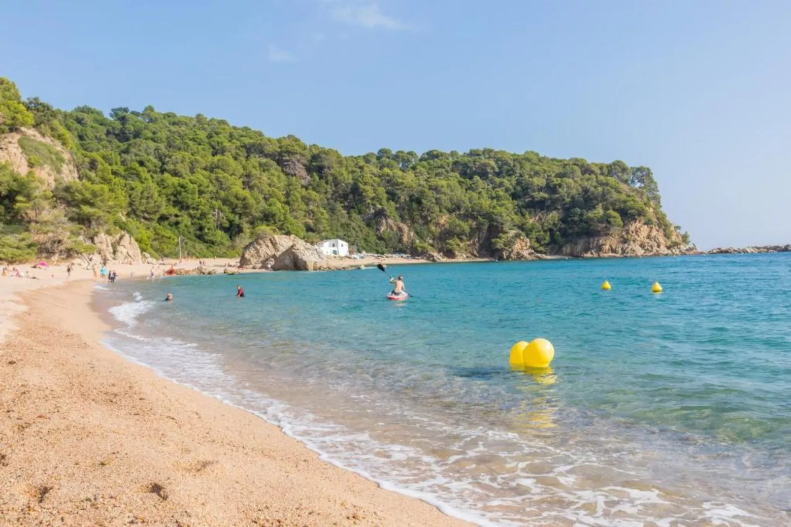 Cora-Gebieden zomer 5km