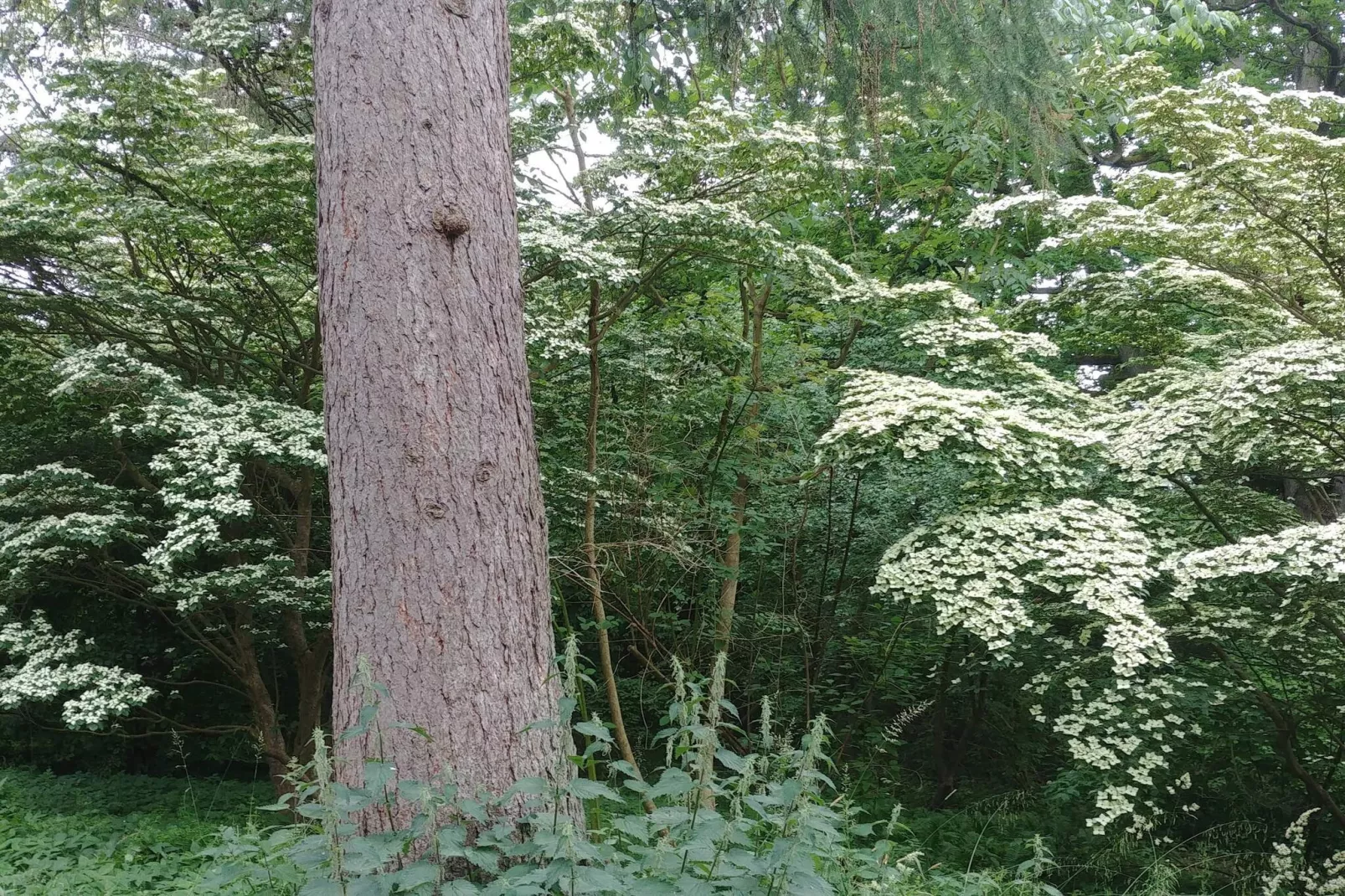 4 sterren vakantie huis in Vedbæk-Niet-getagd