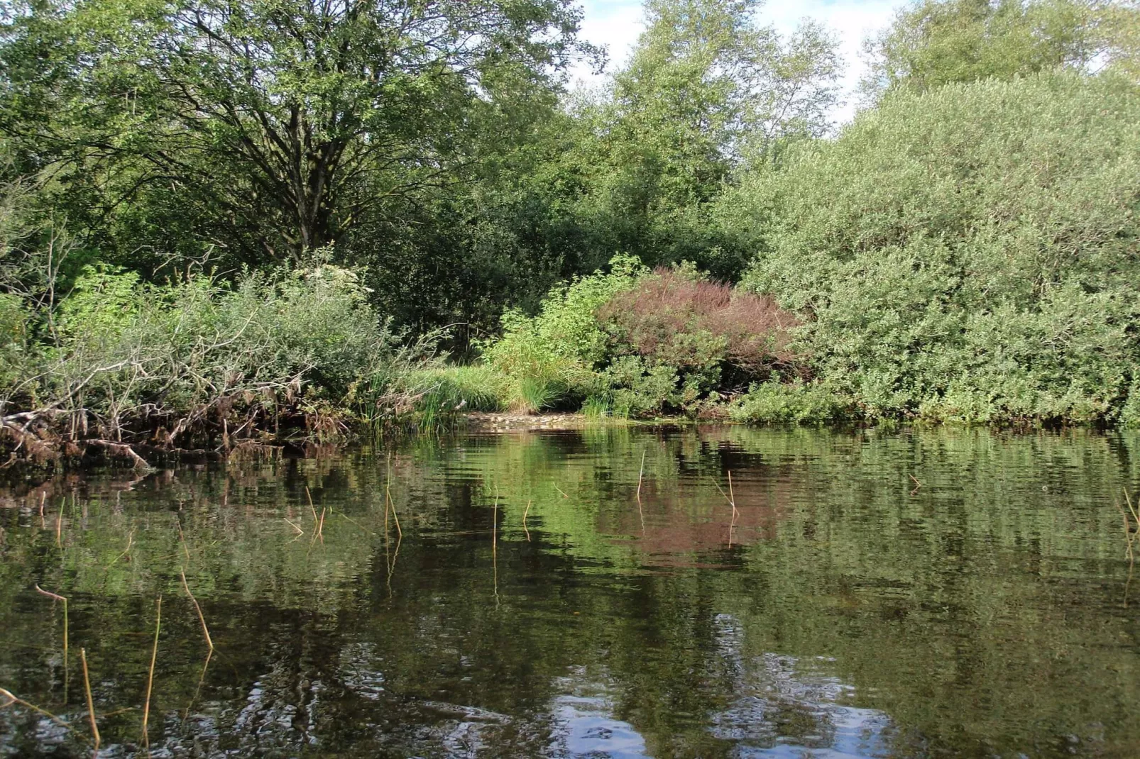 6 Personen vakantie huis in Ansager-Waterzicht
