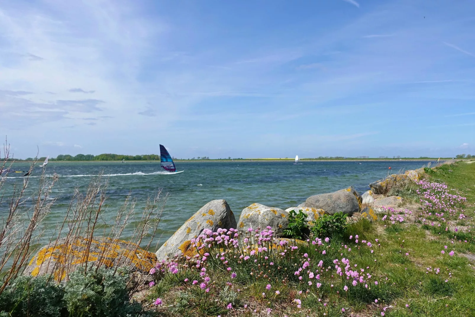FeWo Lieblingsorth P4-Gebieden zomer 1km