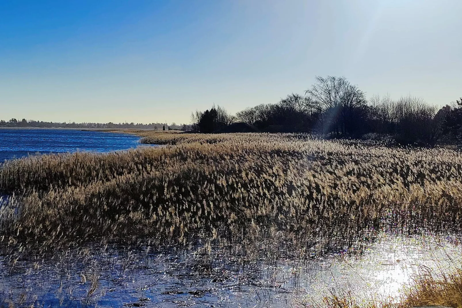 4 sterren vakantie huis in Jægerspris-Waterzicht
