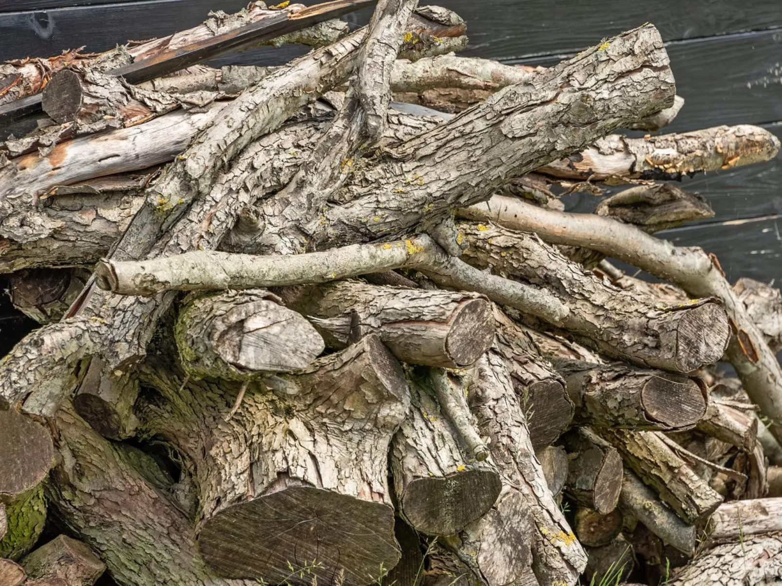 "Rether" - 400m from the sea-Binnen