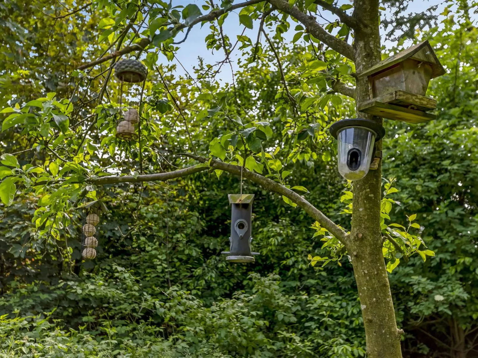 "Ejvind" - 30km from the sea-Buiten