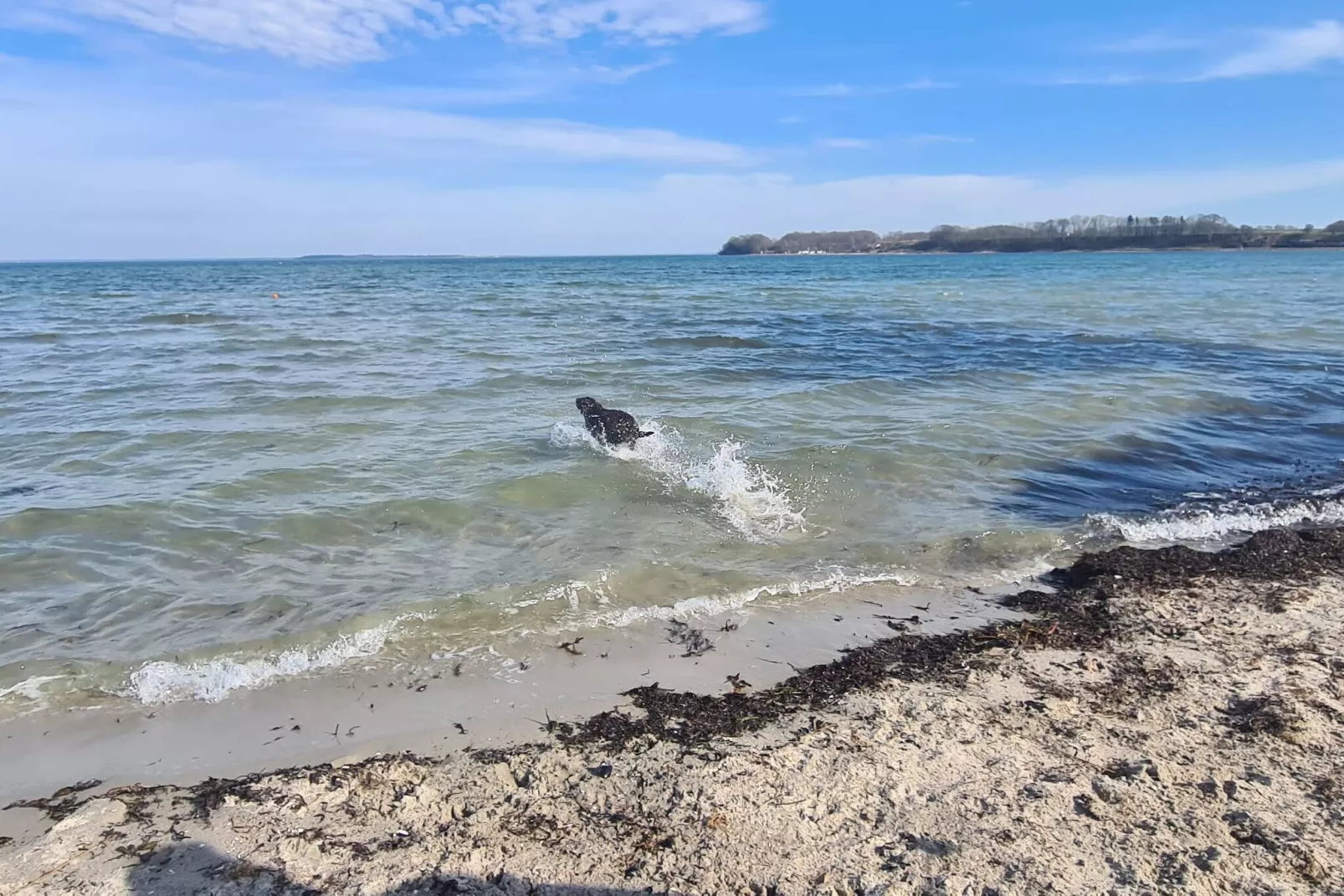5 sterren vakantie huis in Hejls-Waterzicht