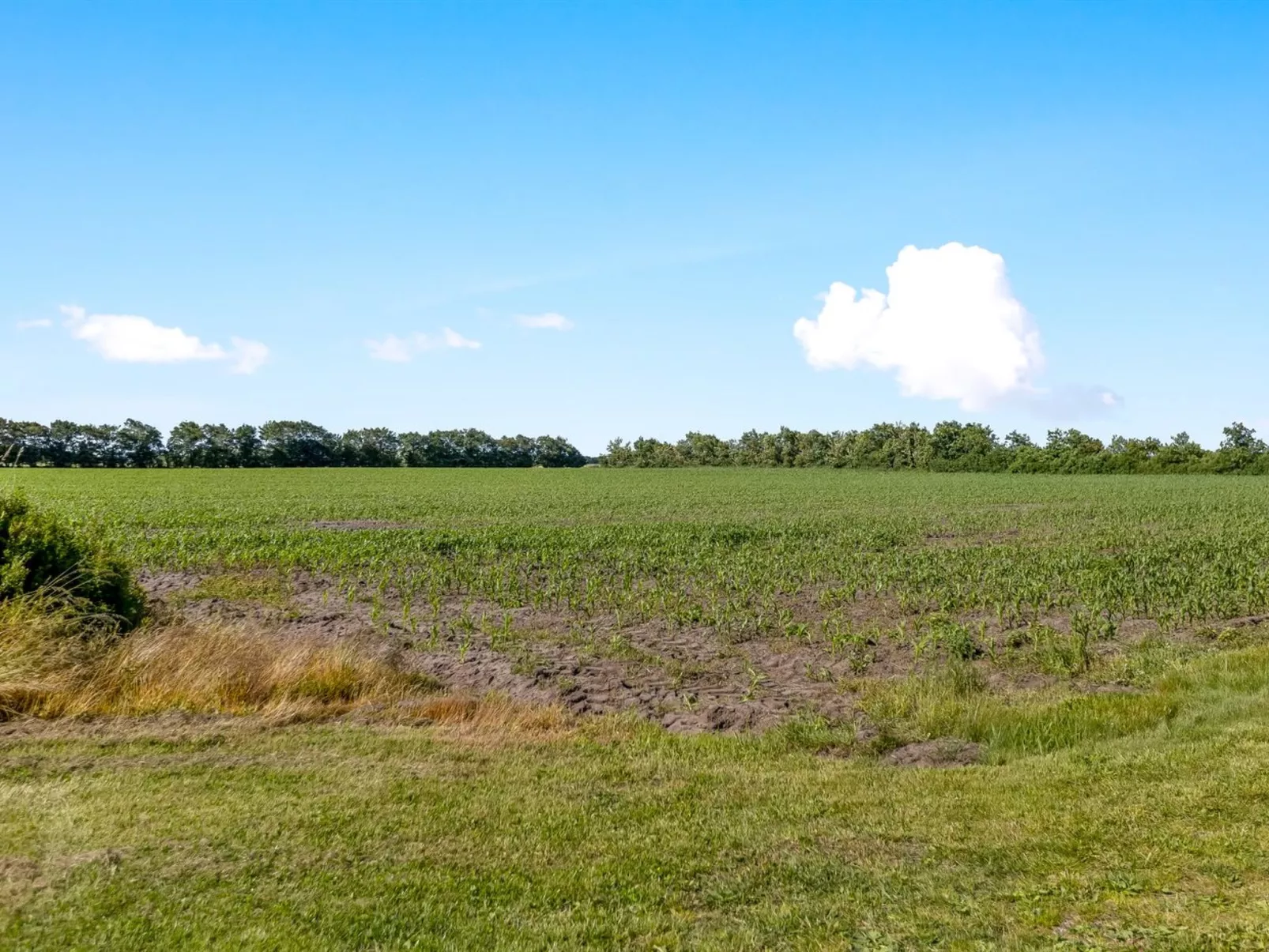 "Rahild" - 10km from the sea-Buiten
