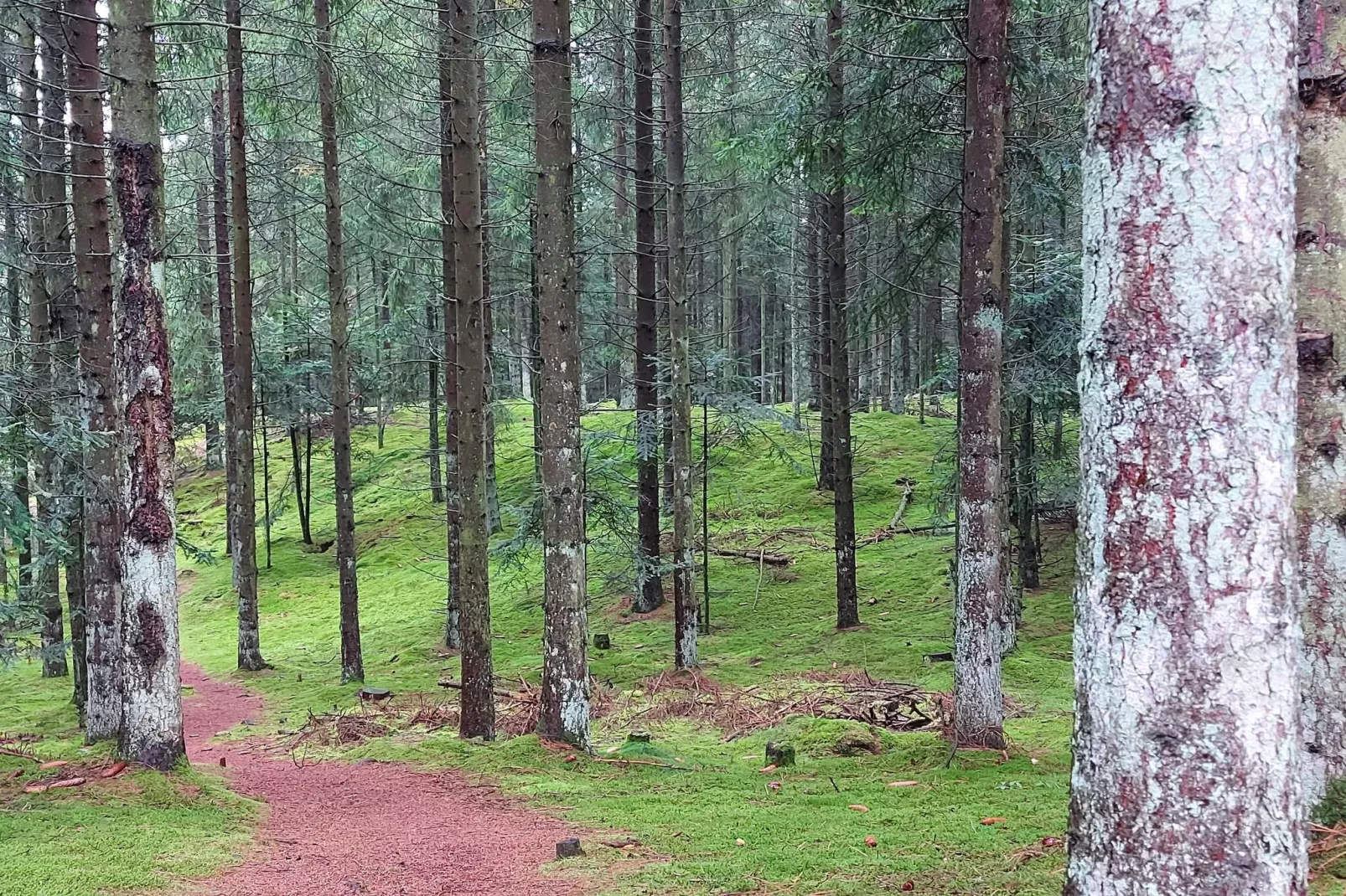 5 sterren vakantie huis in Farsø-Niet-getagd