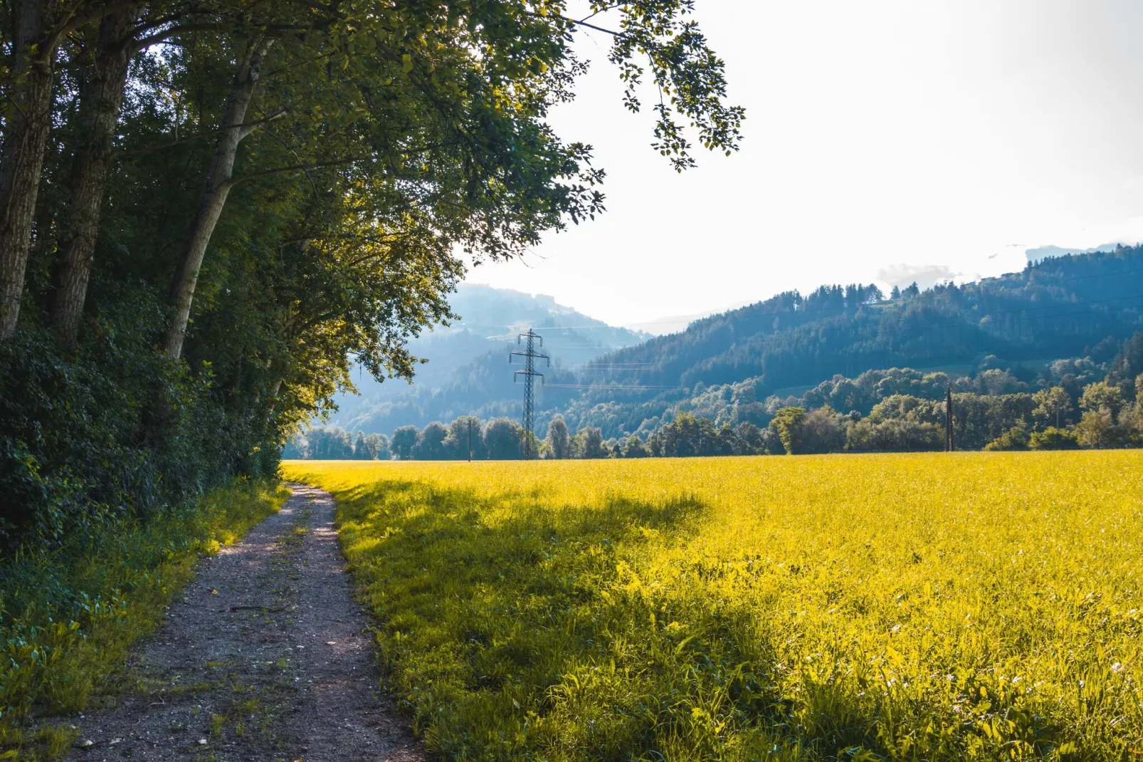 CityApartment Schwaz-Gebieden zomer 5km